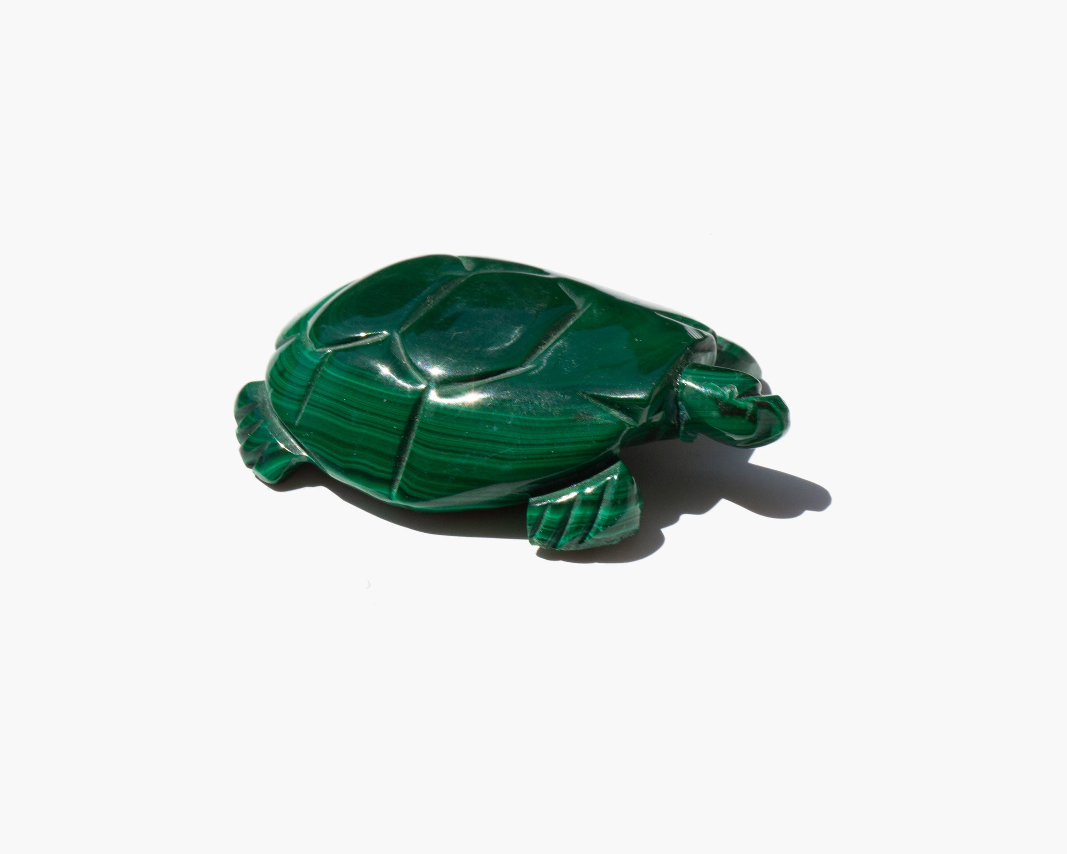 Carved Turtle Talisman