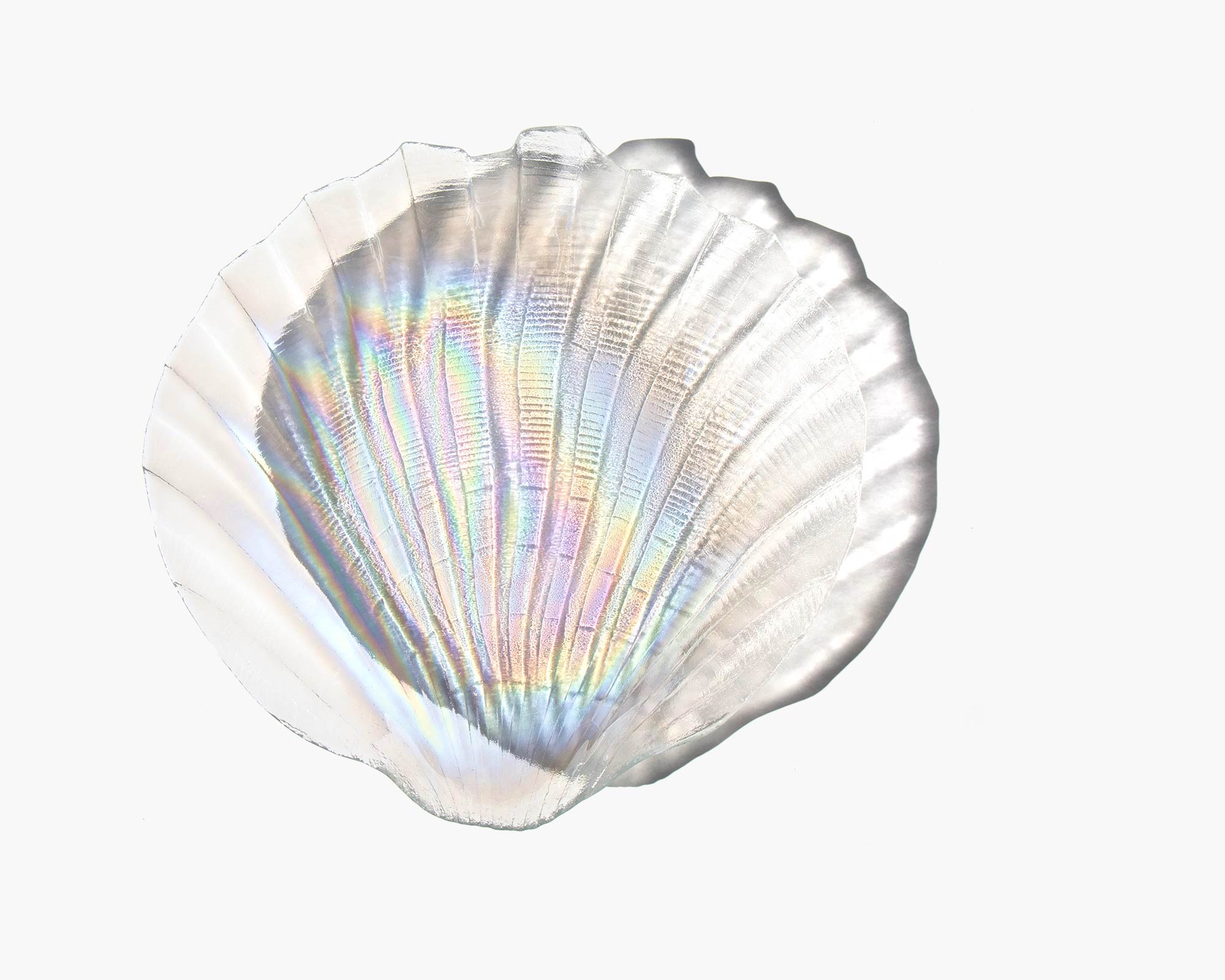 Iridescent Shell Plate