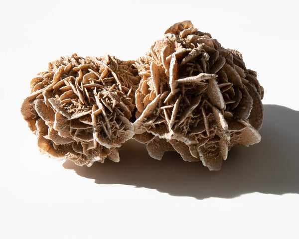 2-found-by-kindred-black-