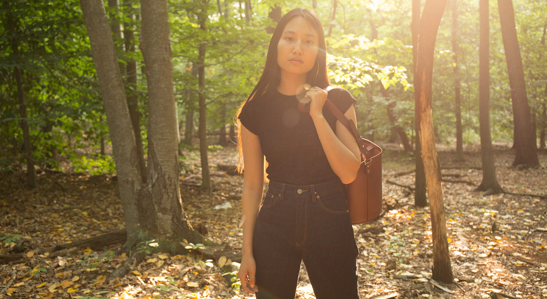 Creatures of Comfort