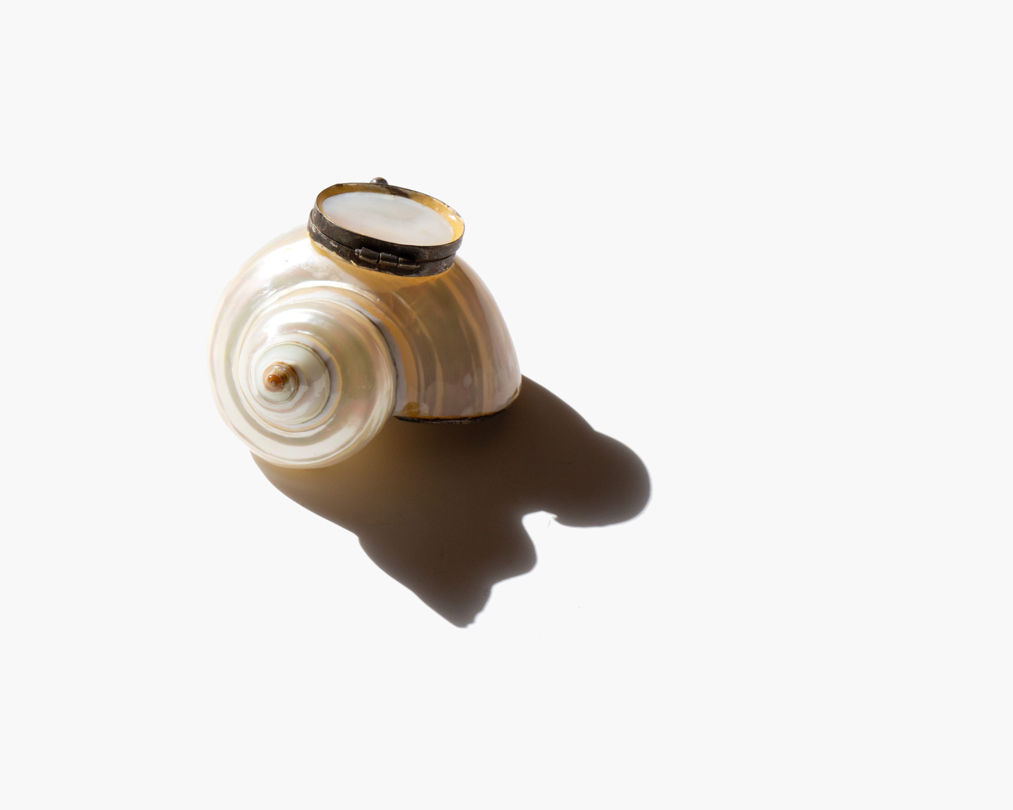 The Spiral Tide Box