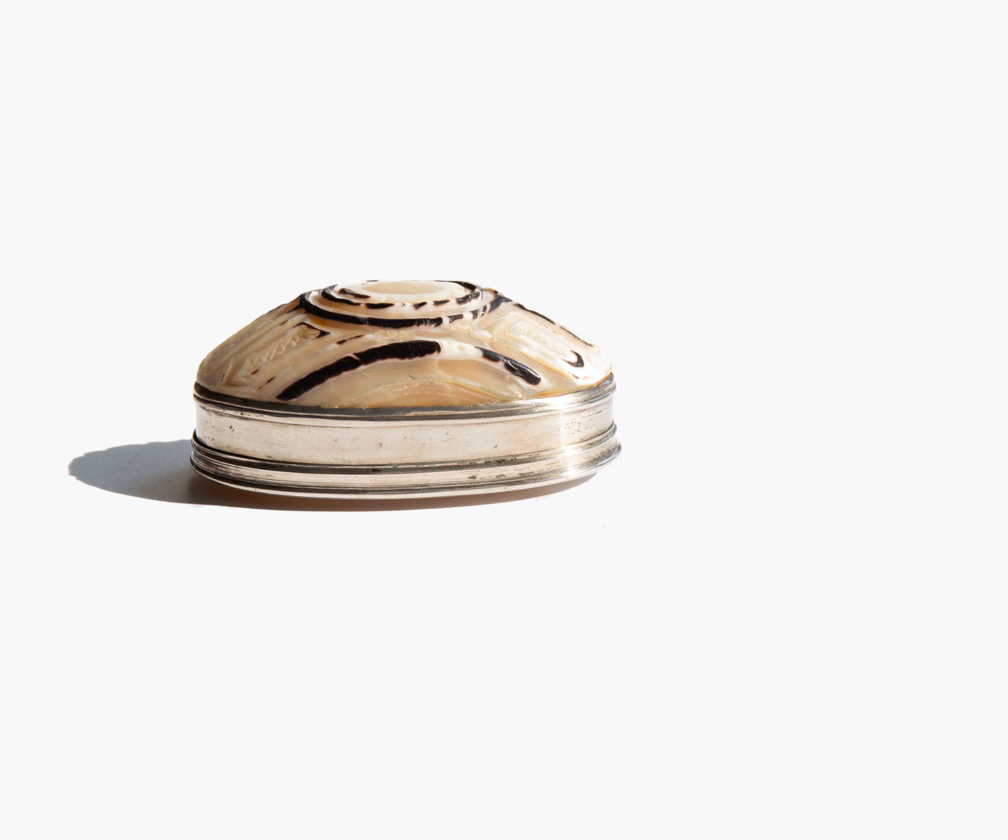 Carved Shell Snuff Box