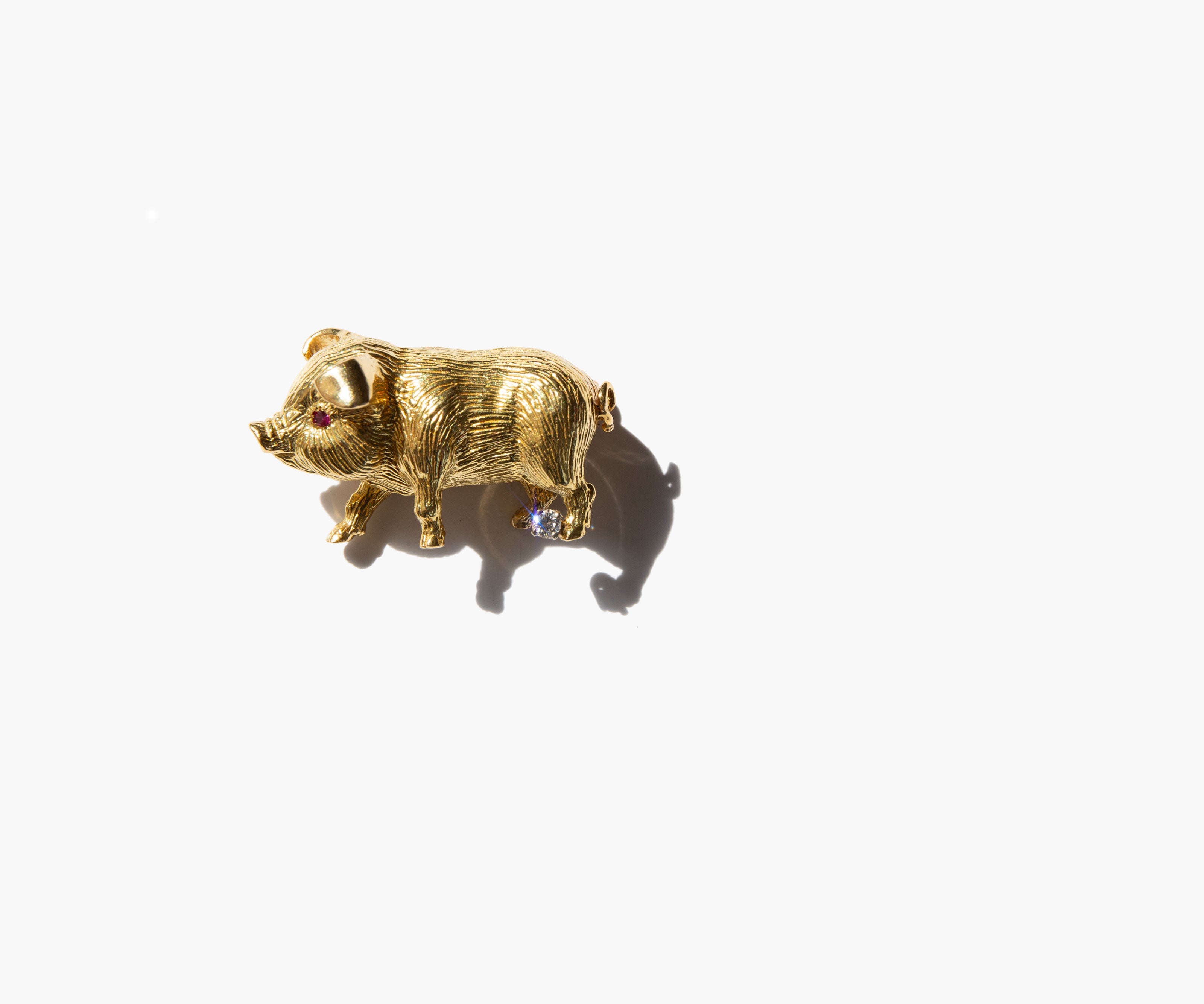 The Golden Swine