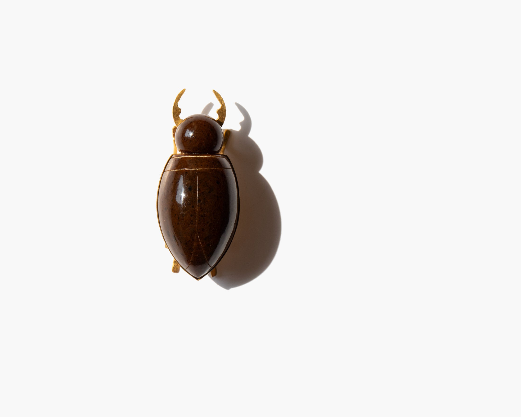 The Sun Beetle