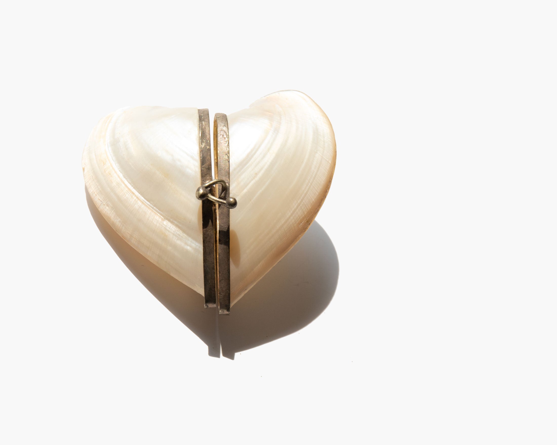 The Sheltered Heart