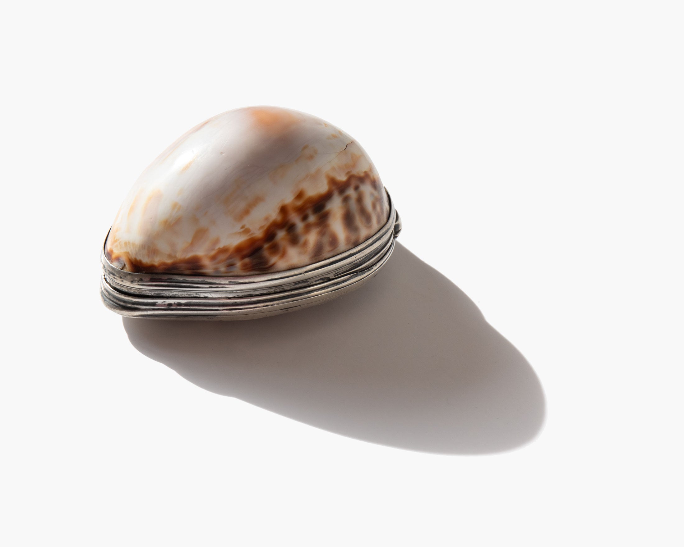 Antique Cowrie Shell Box