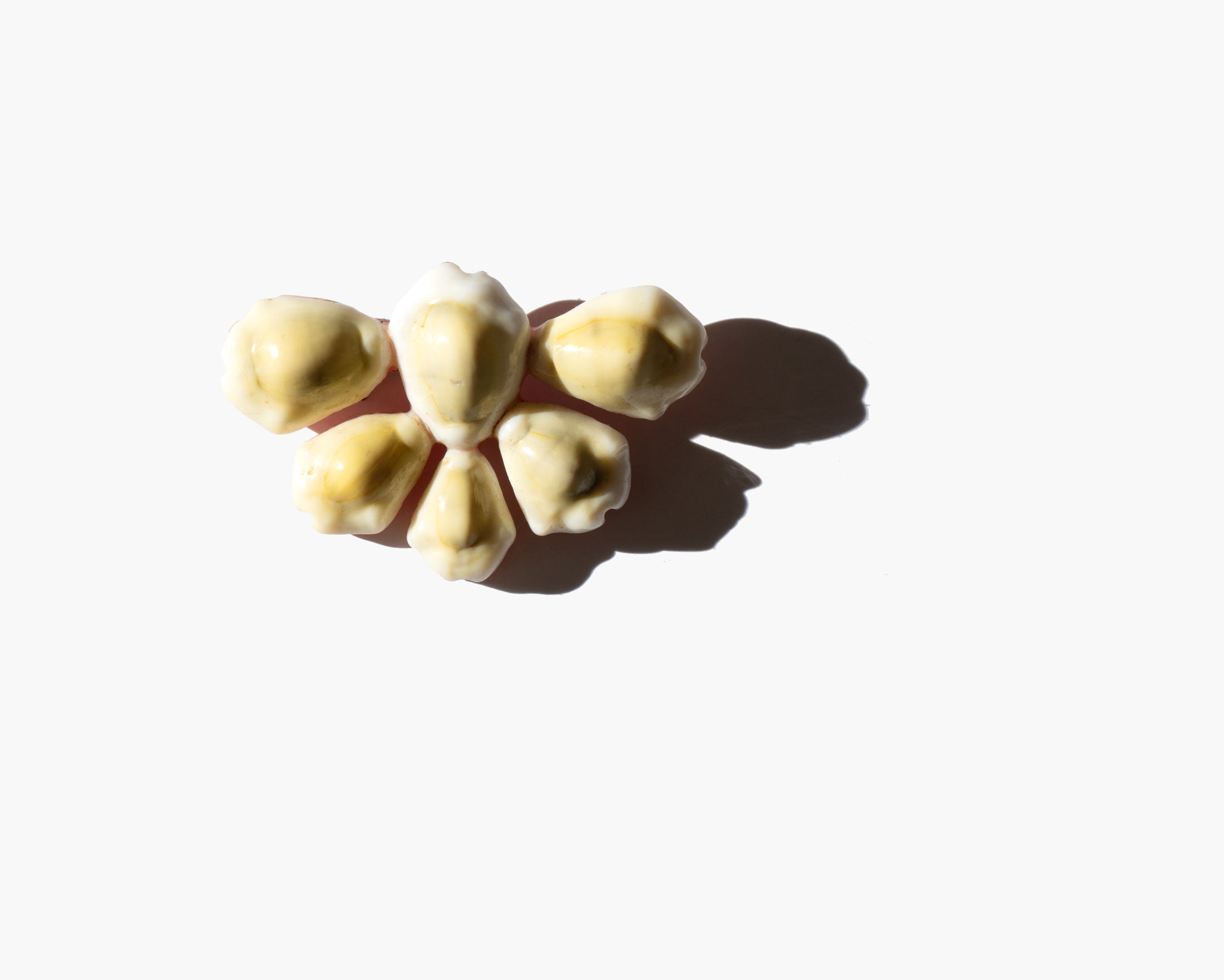 Dryden Brooch