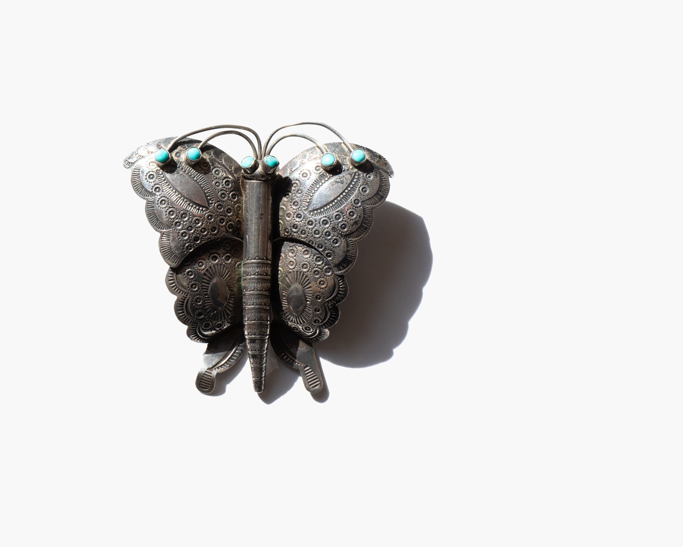 You Carry The Sunlight In Your Wings