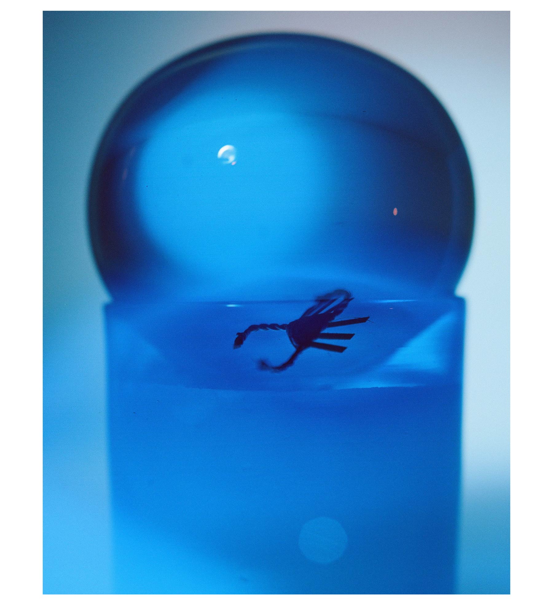 The Orb of Divinity Candle: Sleeping Beauty