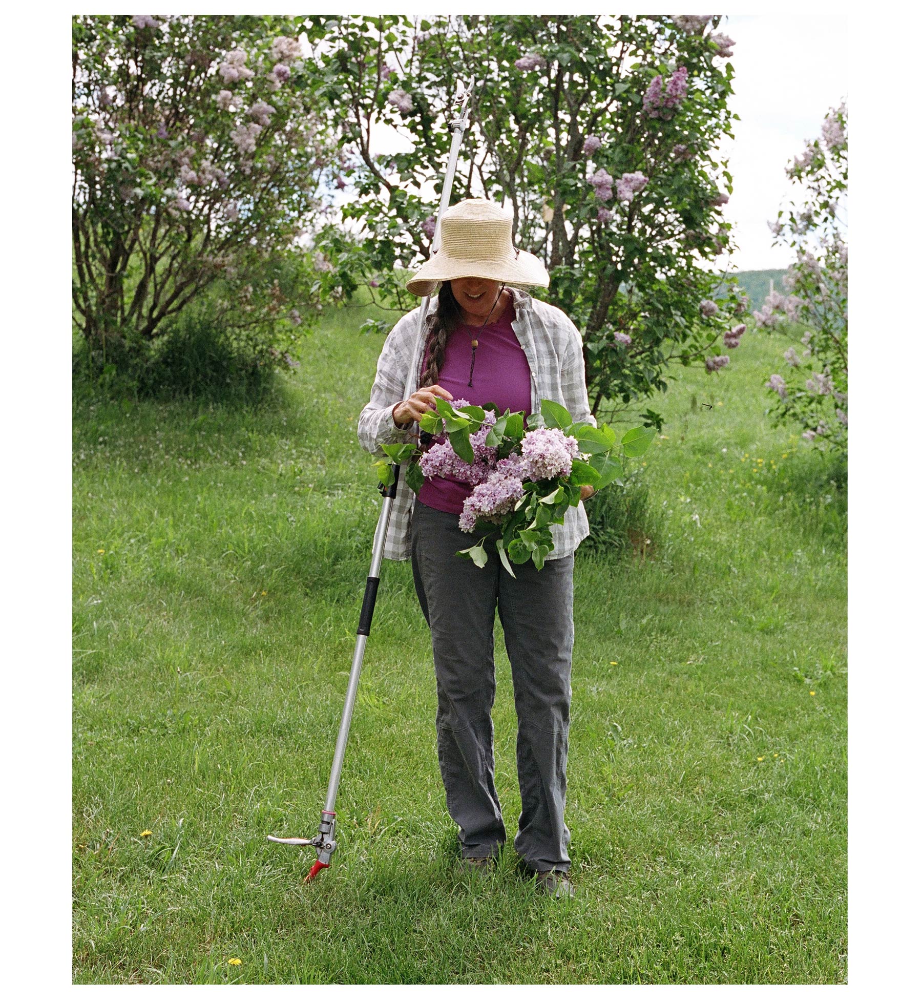 Wild Lilac Attar