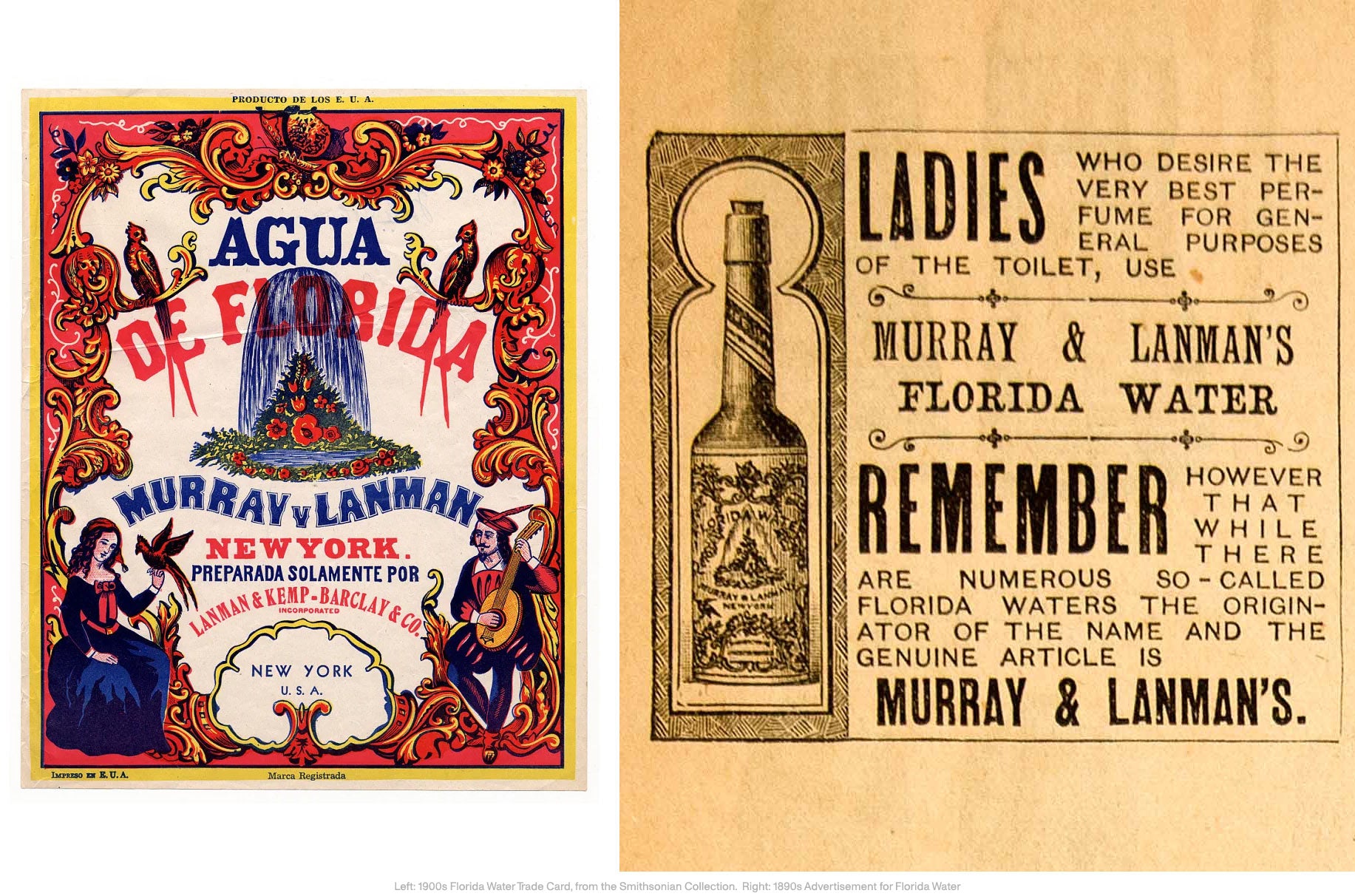 The Fall Of The Immortal