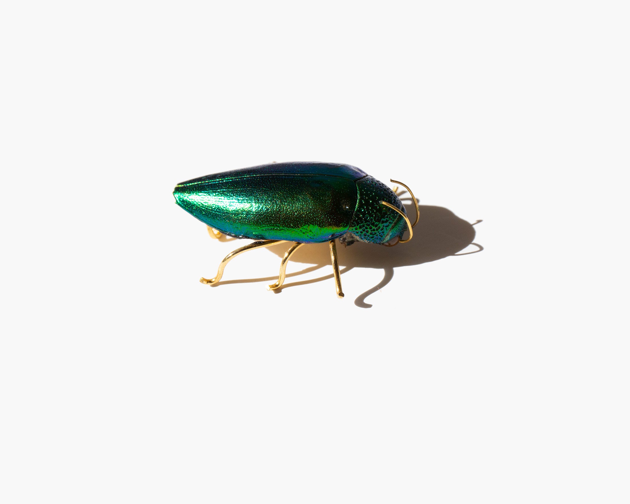 Solar Relic Brooch