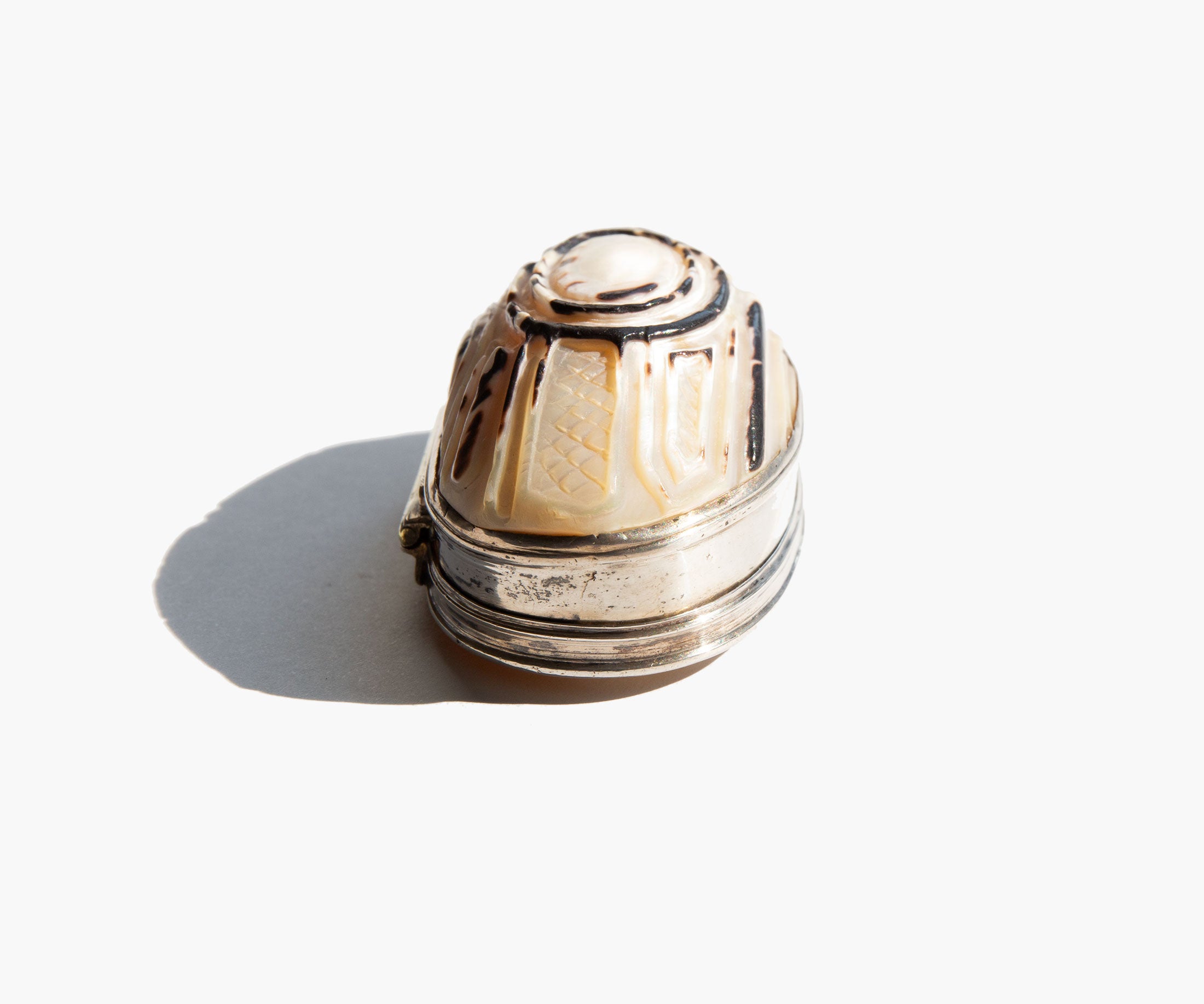 Carved Shell Snuff Box