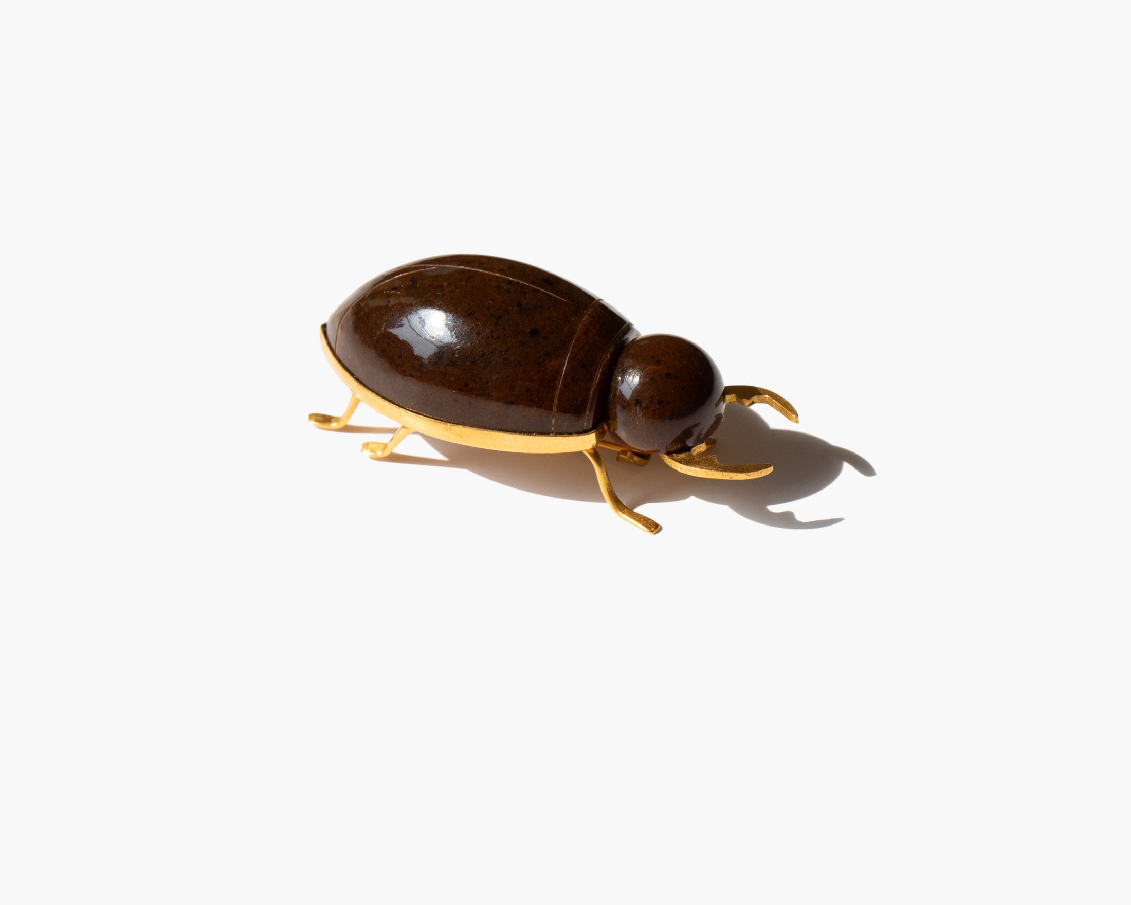 The Sun Beetle