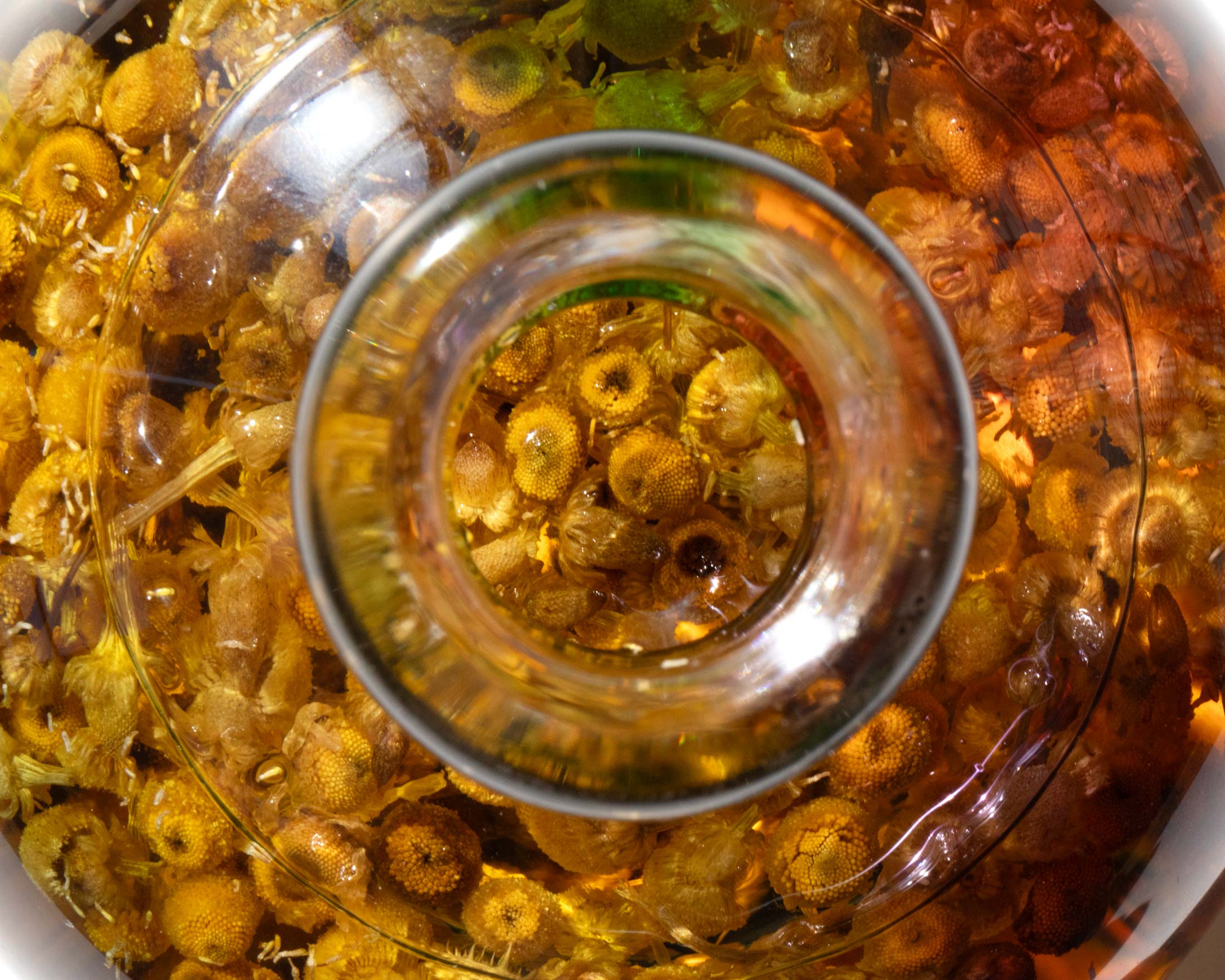 Chamomile Unguentation Oil