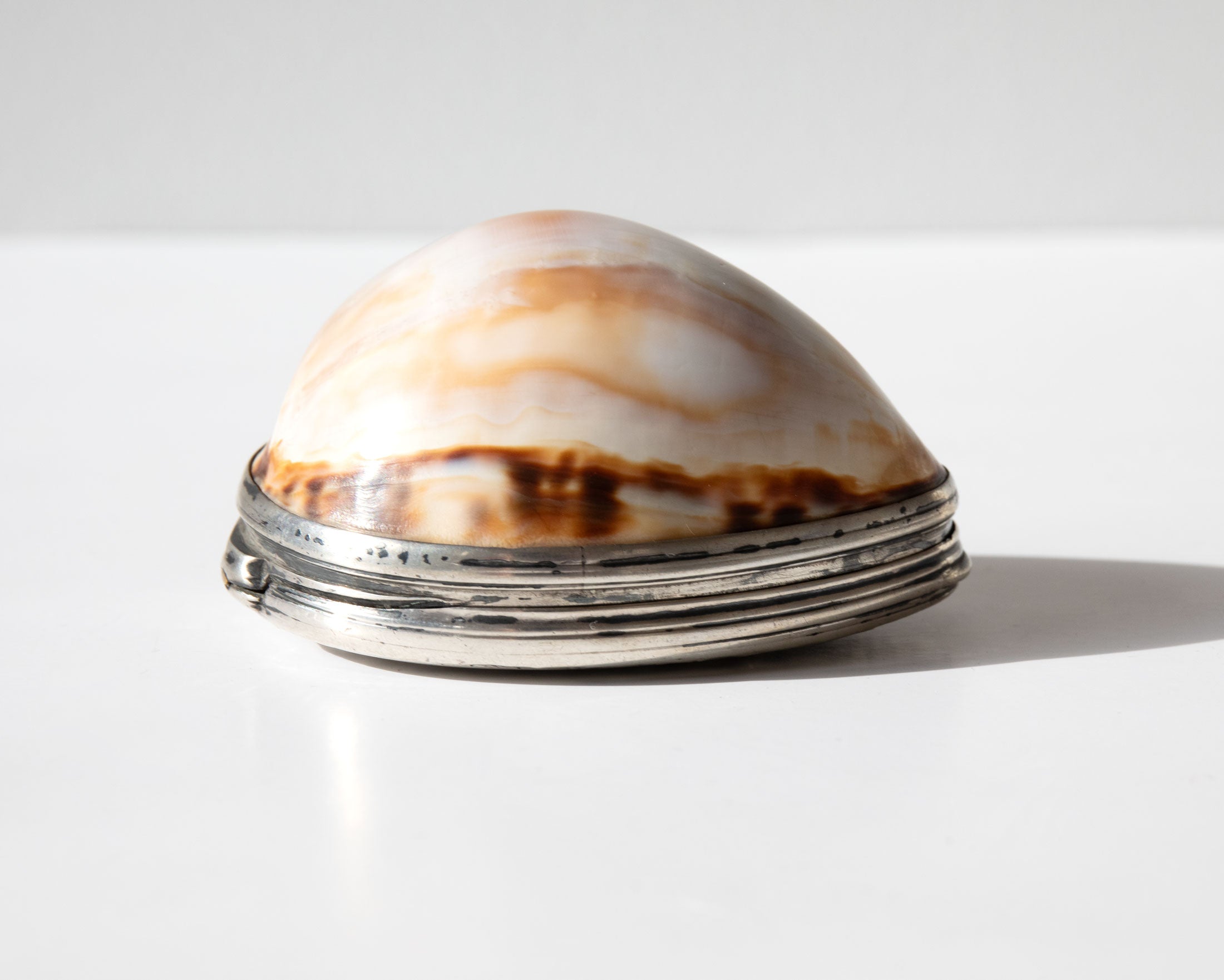 Antique Cowrie Shell Box