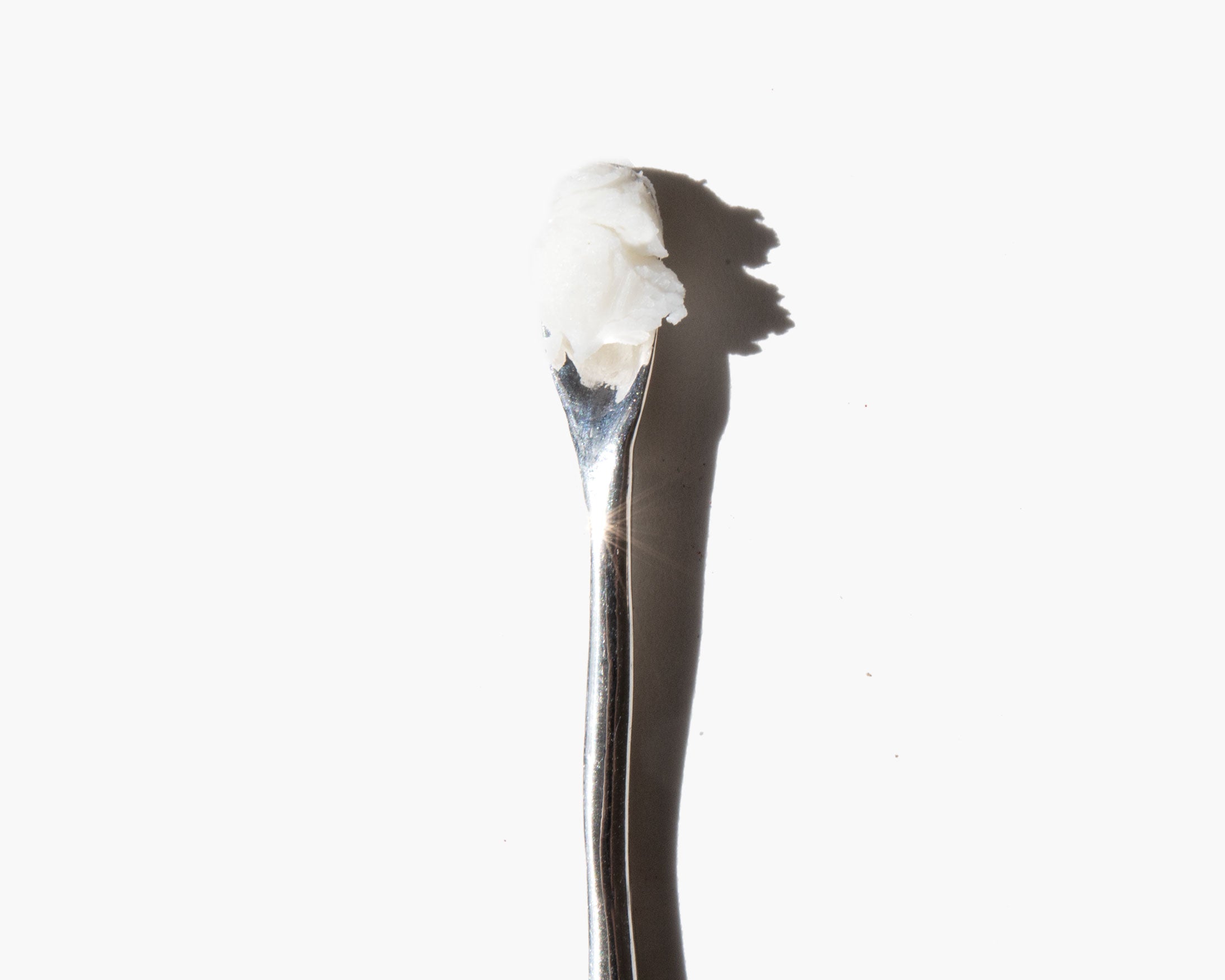 New Dawn Rose Crème