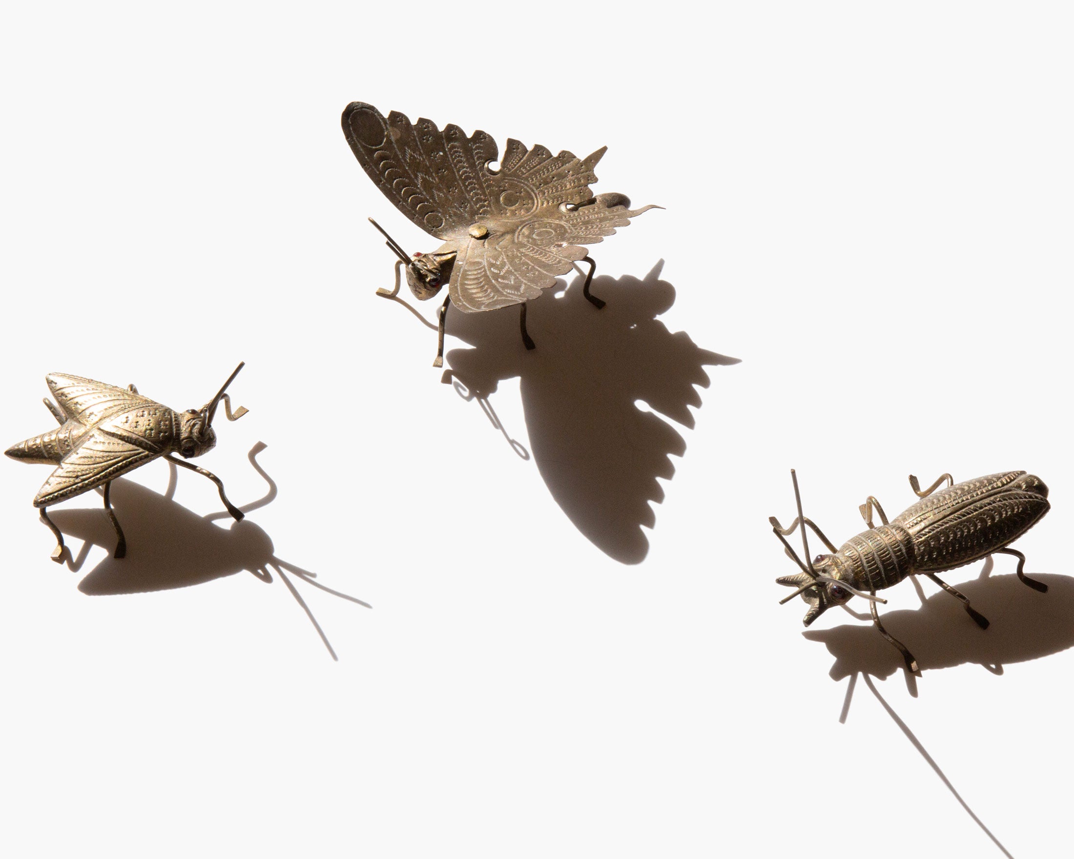 Metamorphica