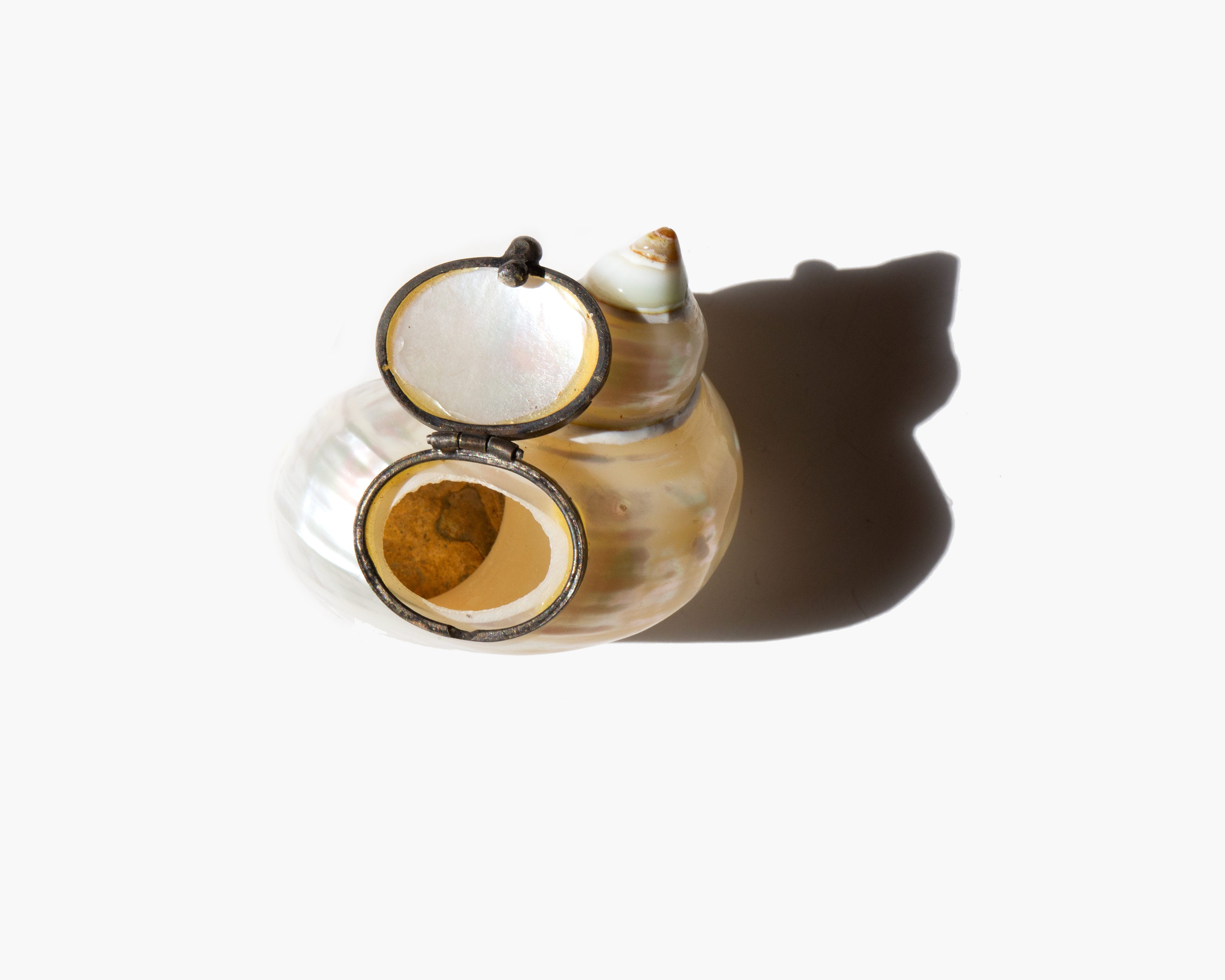 The Spiral Tide Box