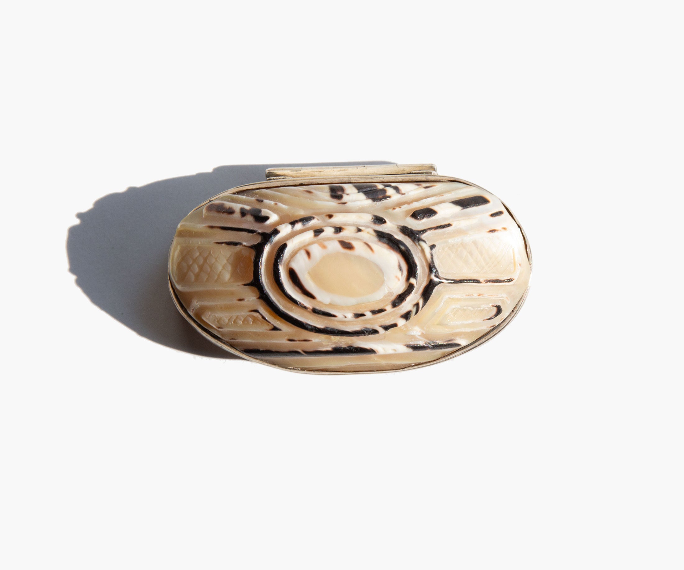 Carved Shell Snuff Box