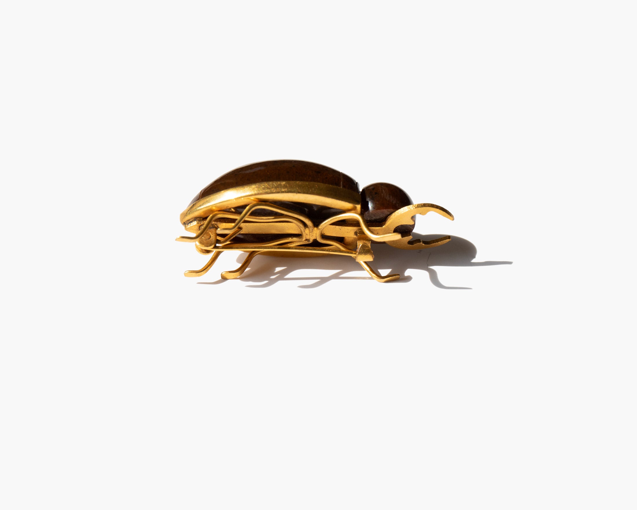 The Sun Beetle