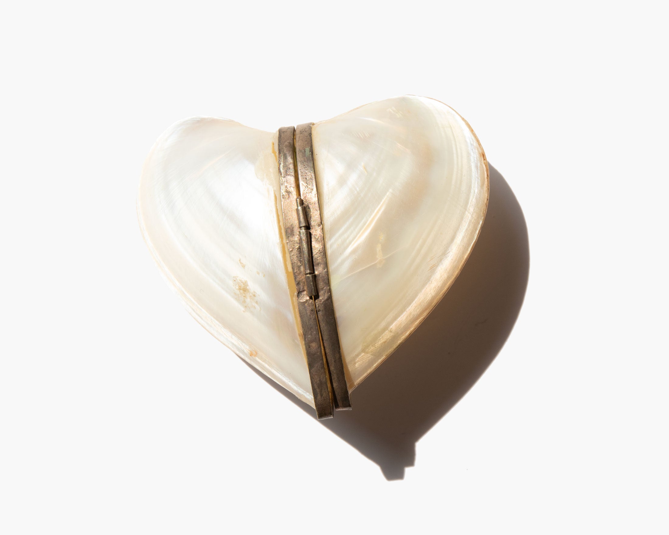 The Sheltered Heart