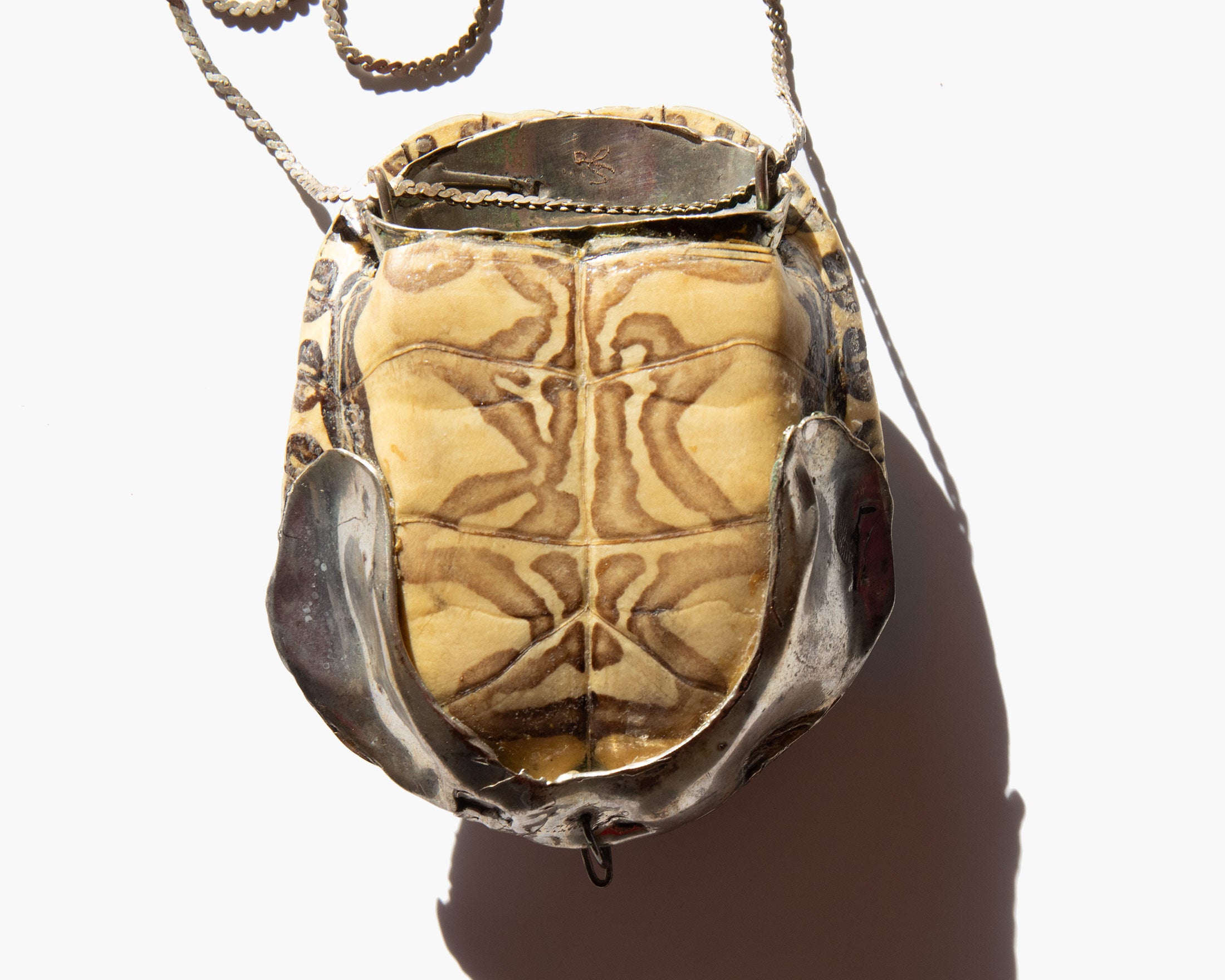 Lunaris Concha