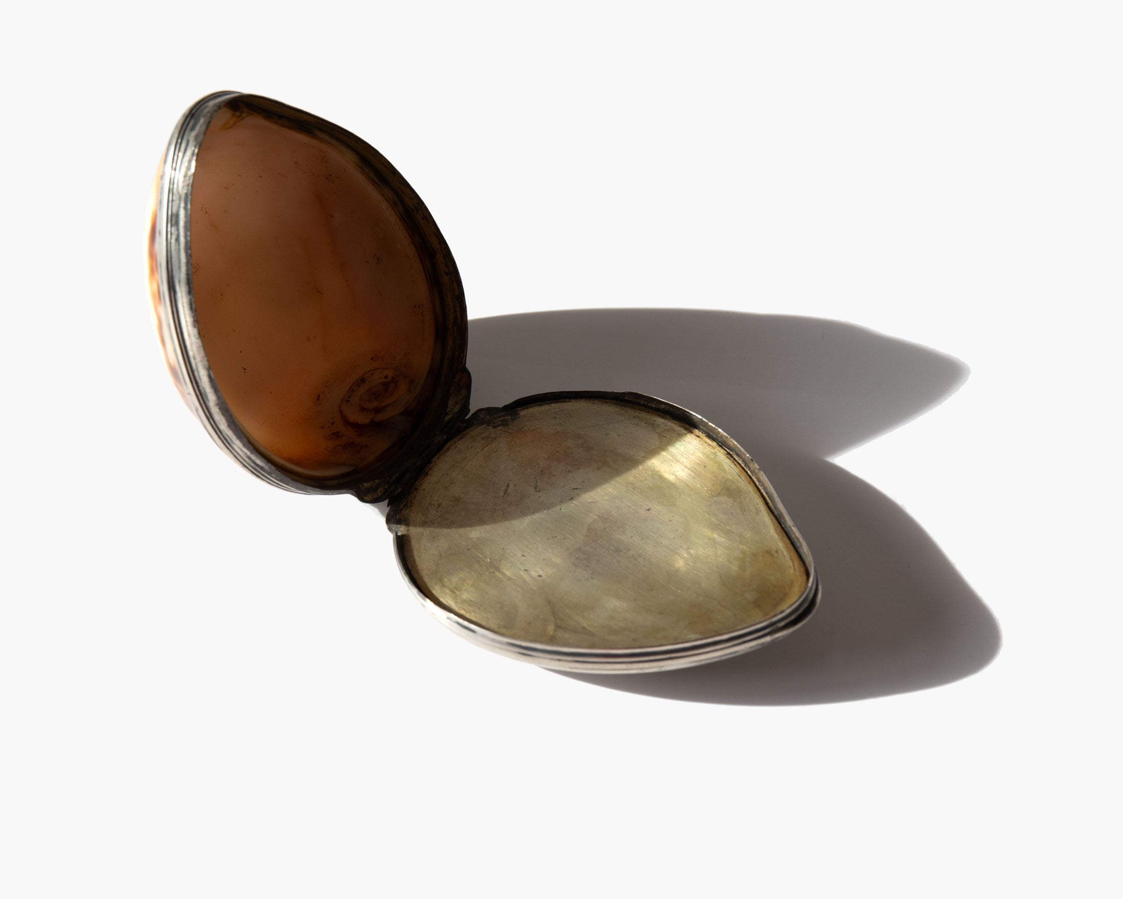 Antique Cowrie Shell Box
