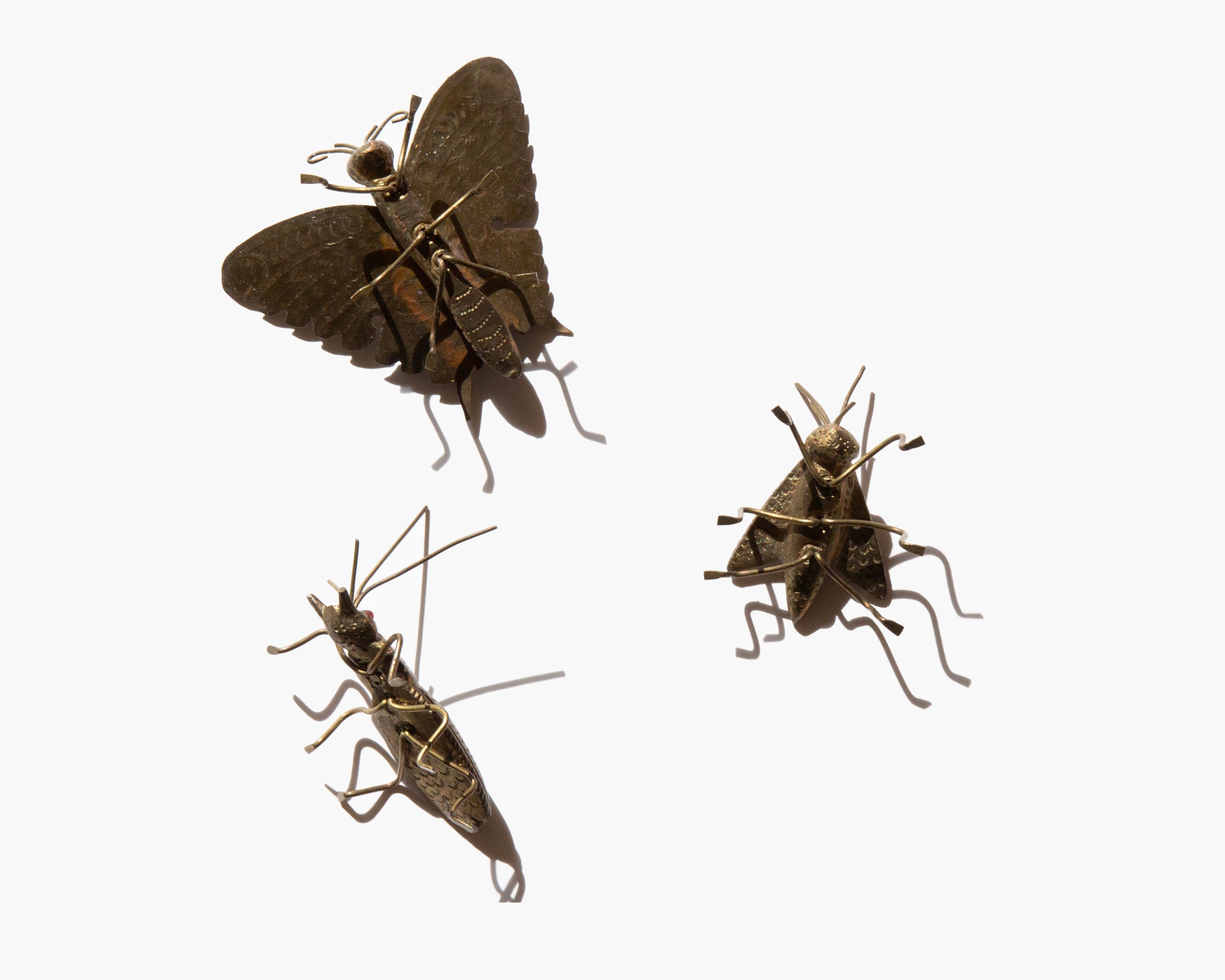 Metamorphica