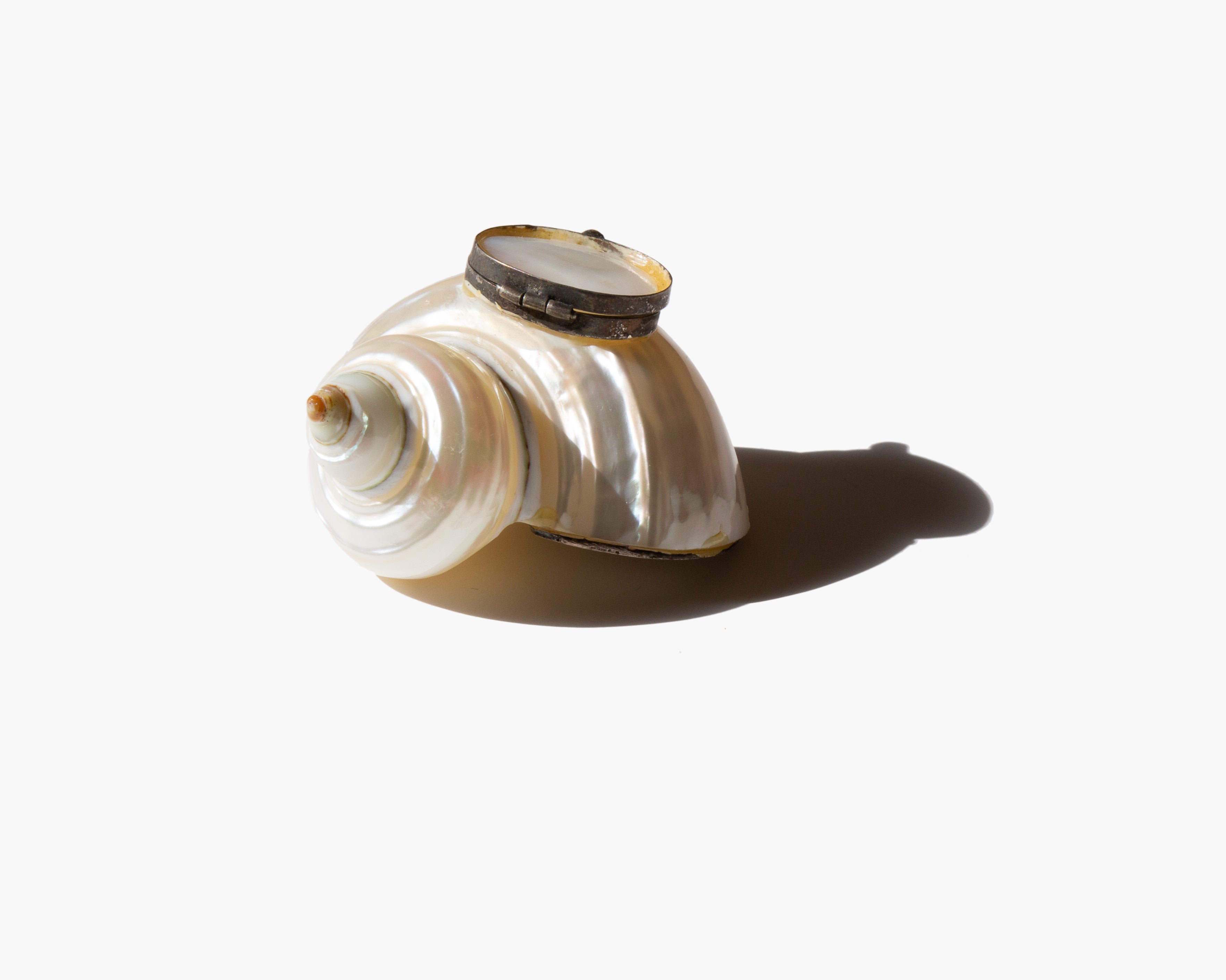 The Spiral Tide Box