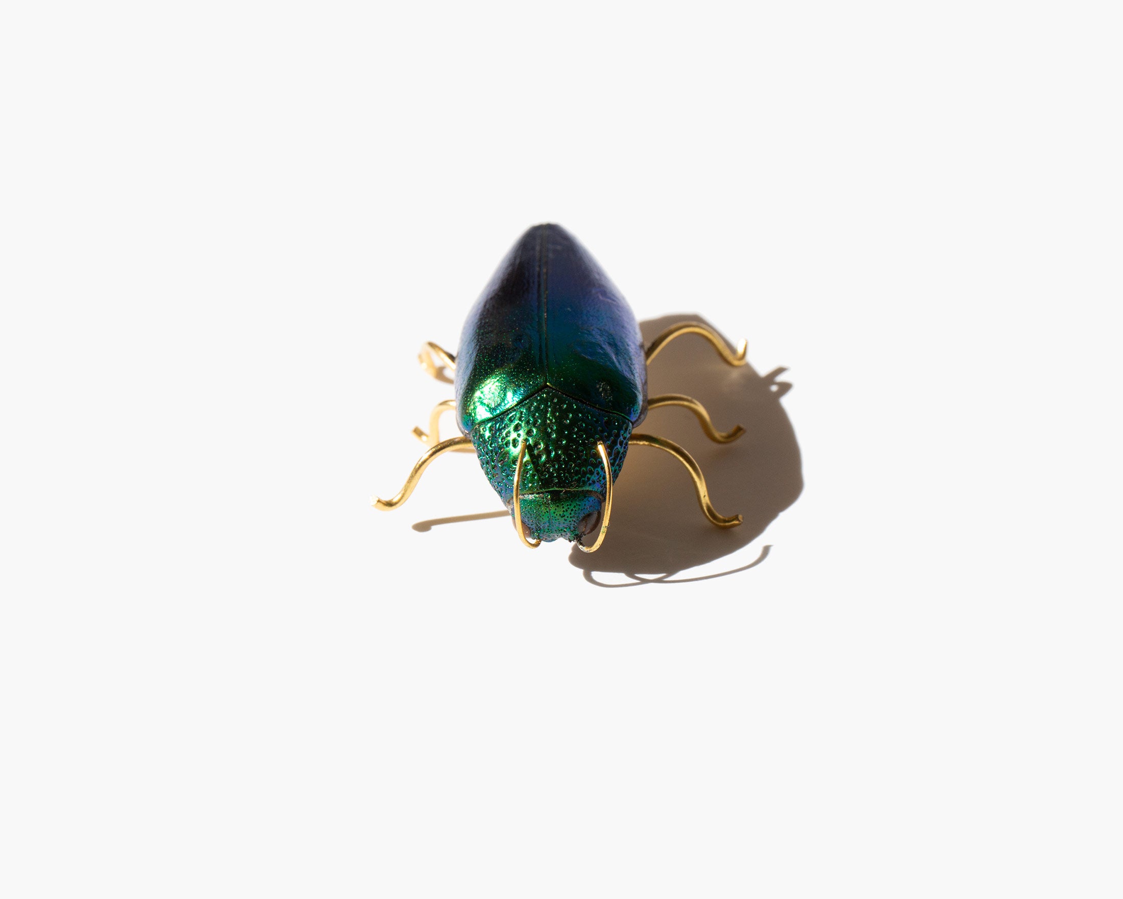 Solar Relic Brooch