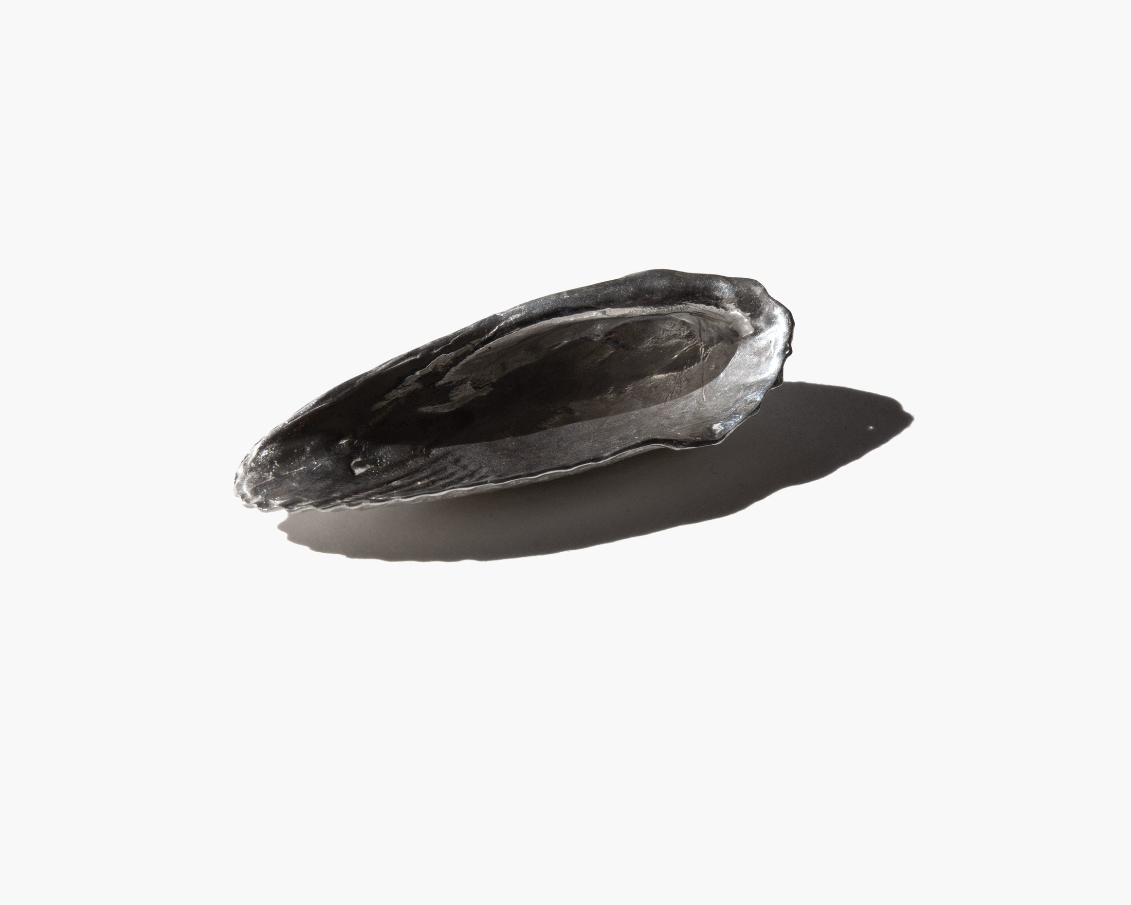 The Celestial Guardian