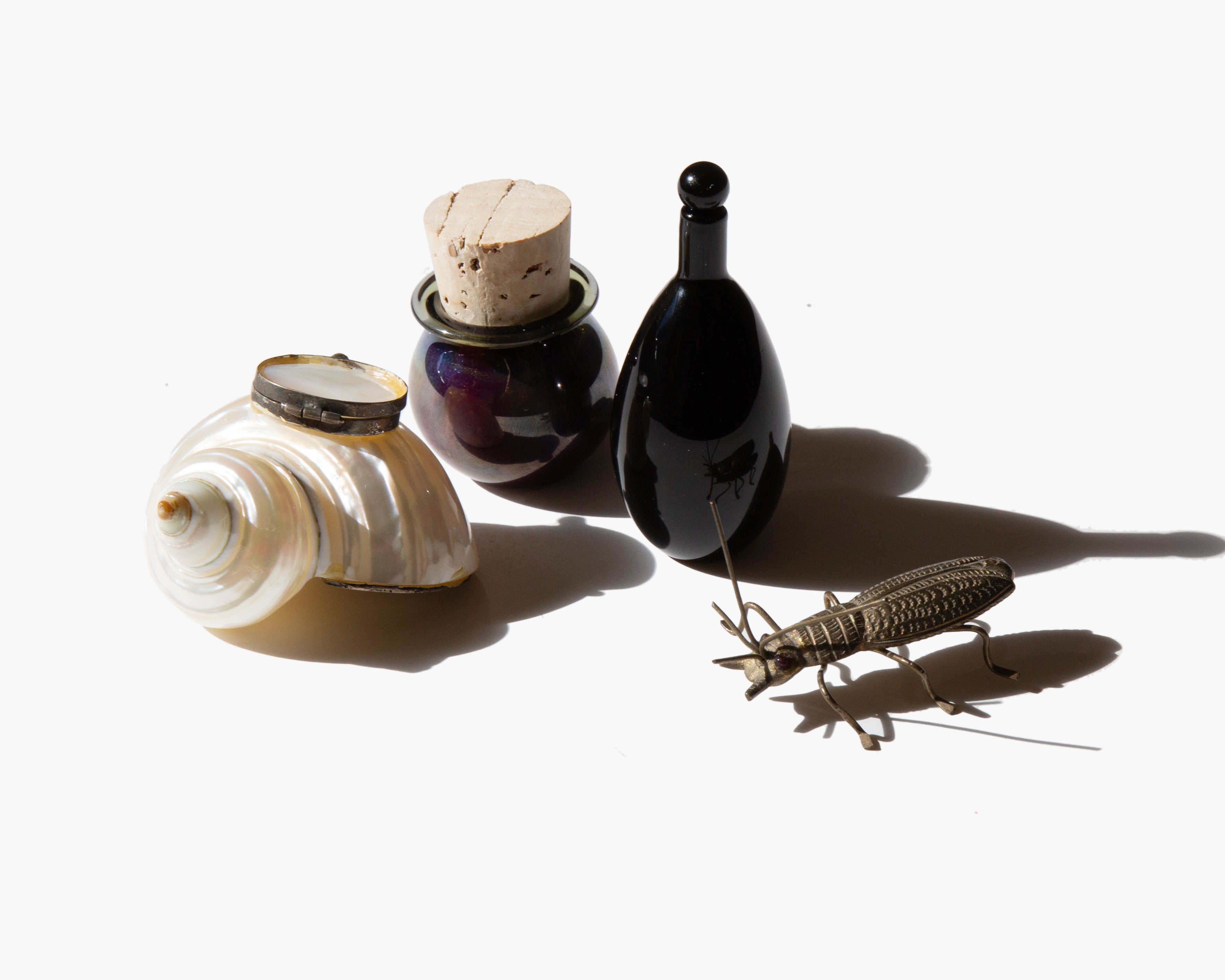The Spiral Tide Box