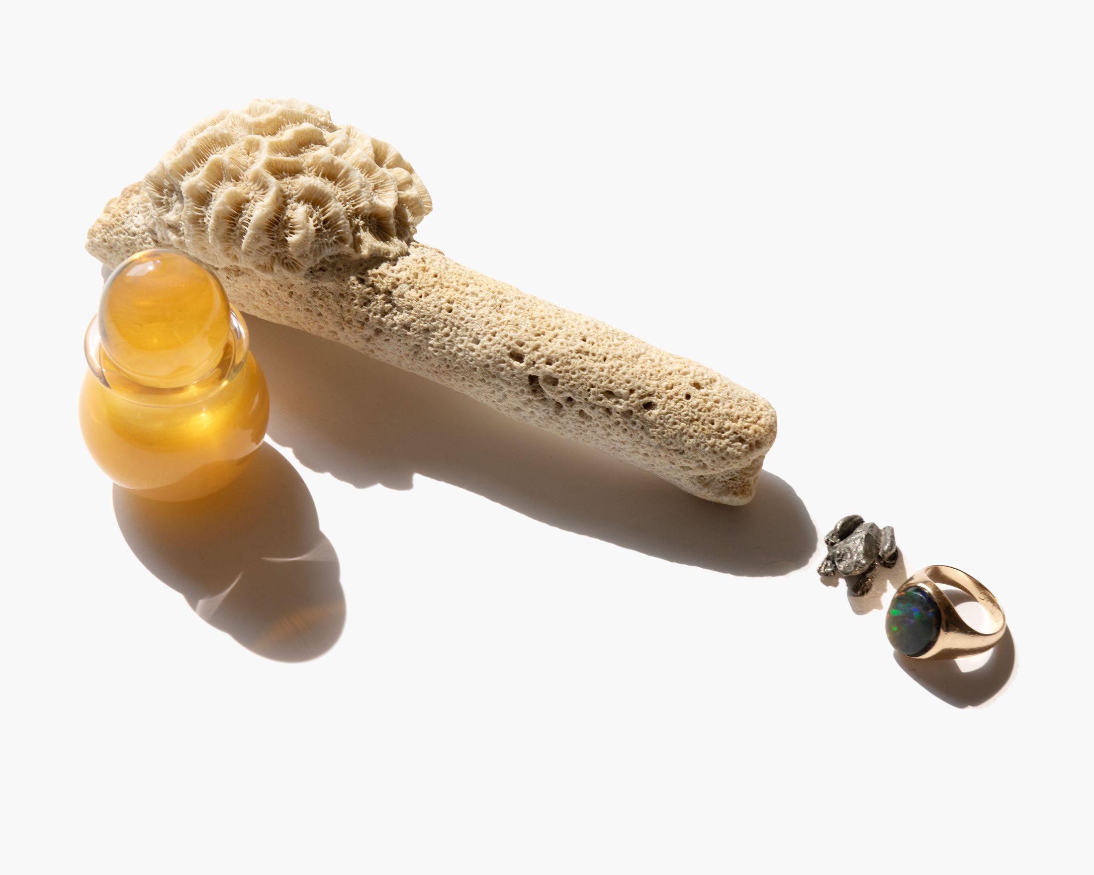 Pillar Coral Specimen