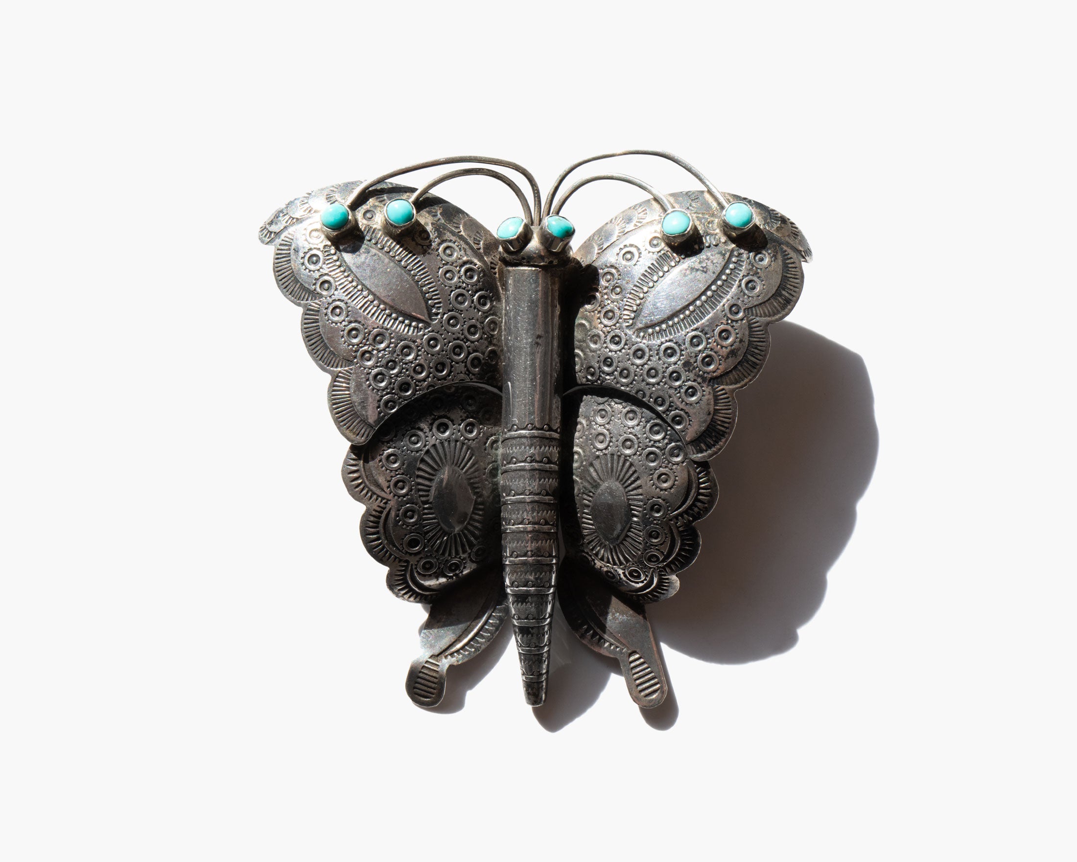 You Carry The Sunlight In Your Wings