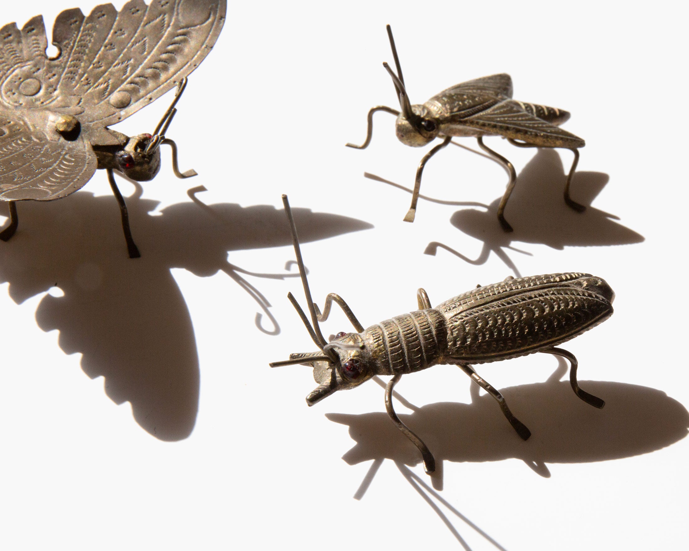 Metamorphica