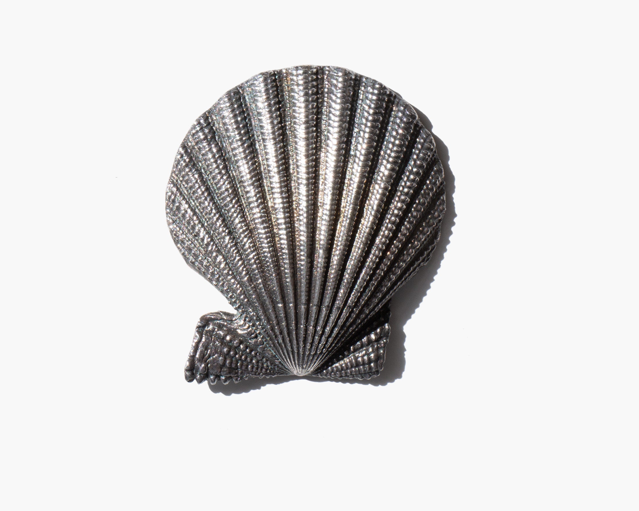 Buccellati Silver Coated Clam Shell