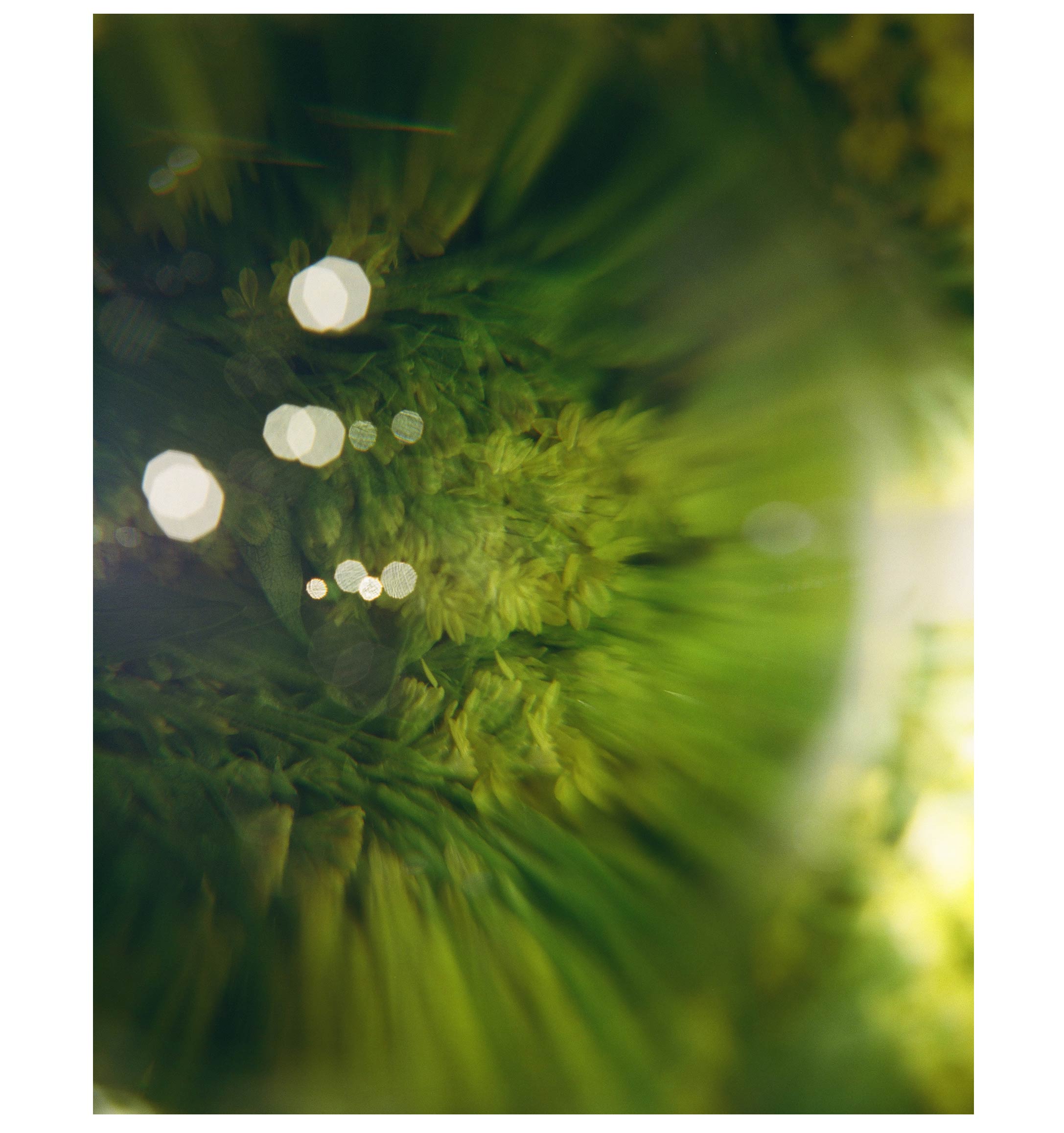 The Talisman Candle: Earthly