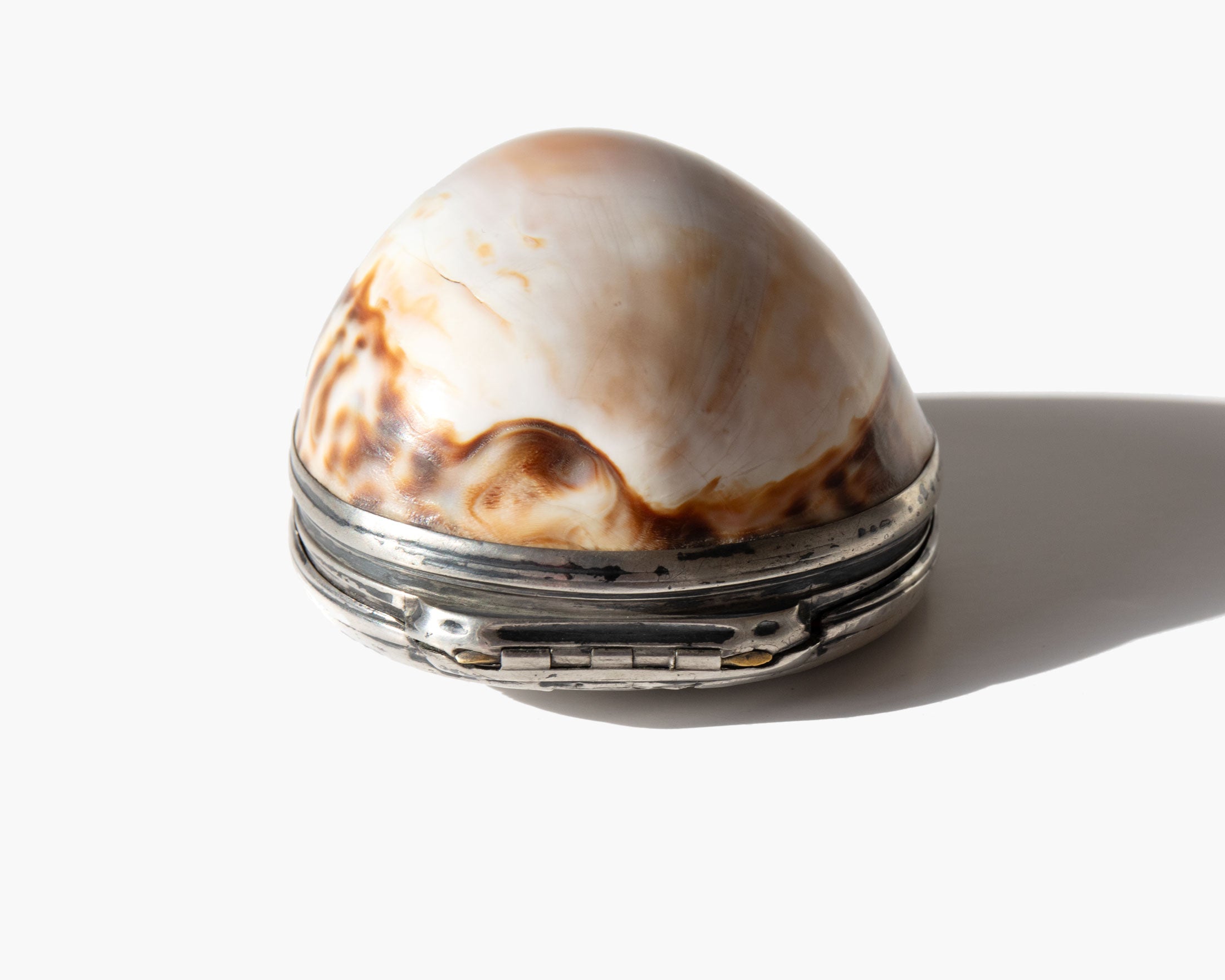 Antique Cowrie Shell Box