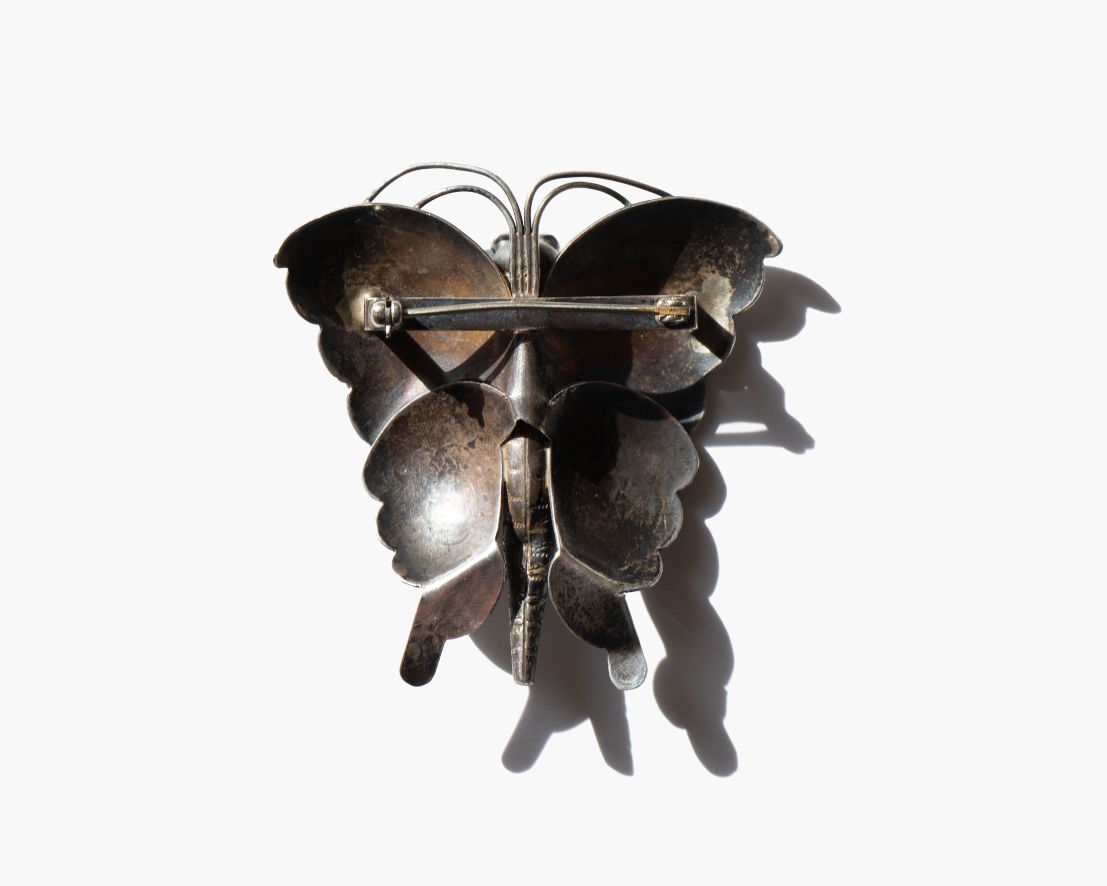 You Carry The Sunlight In Your Wings