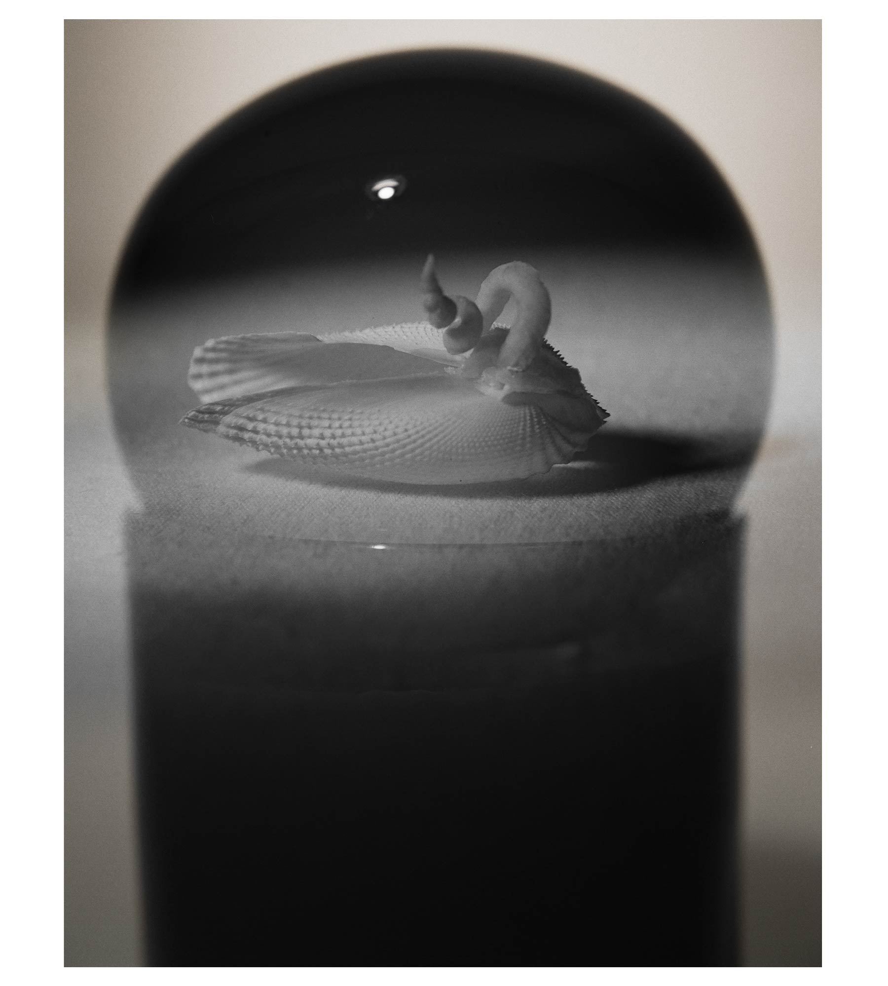 The Orb of Divinity Candle: The Shadow of Desire