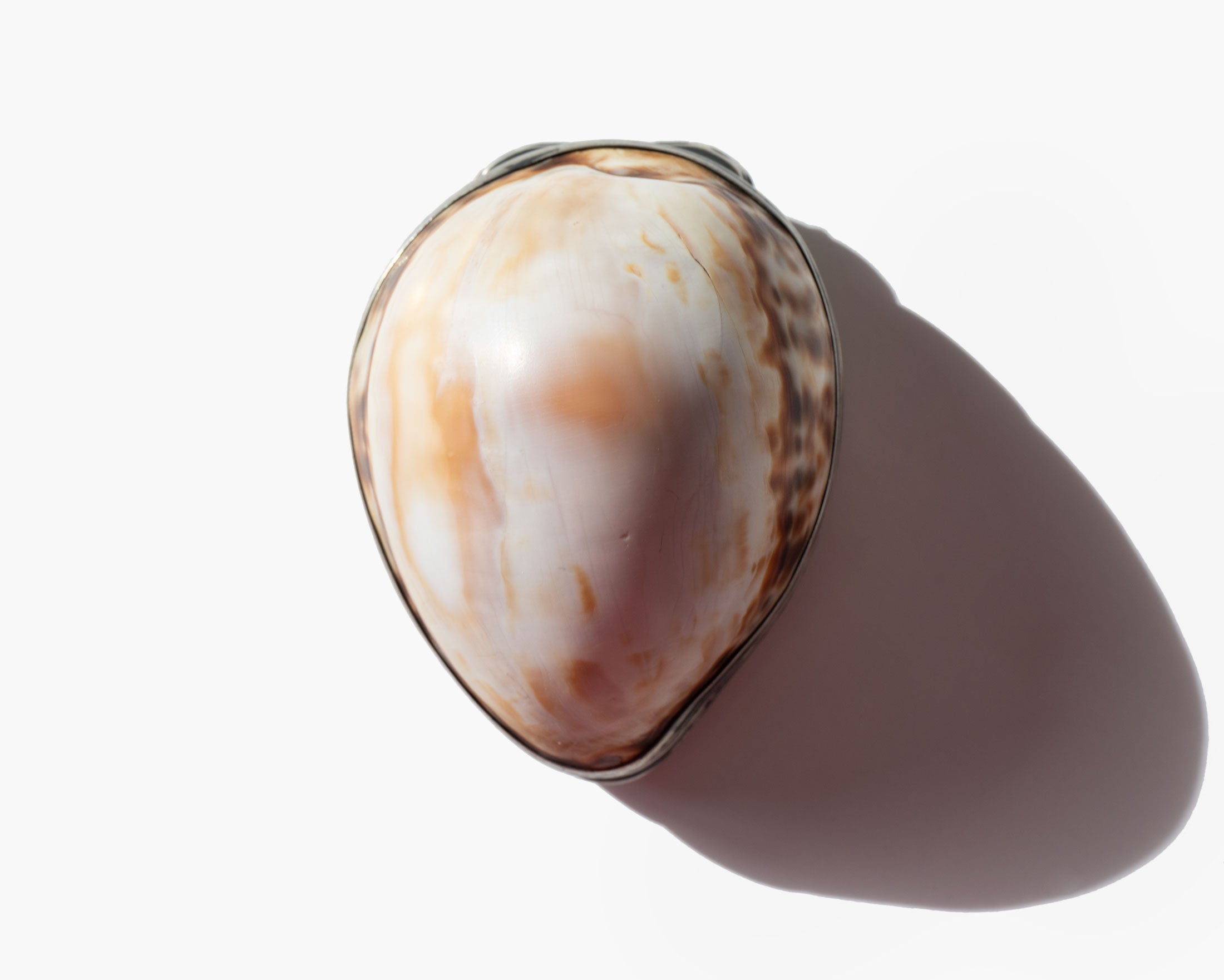 Antique Cowrie Shell Box