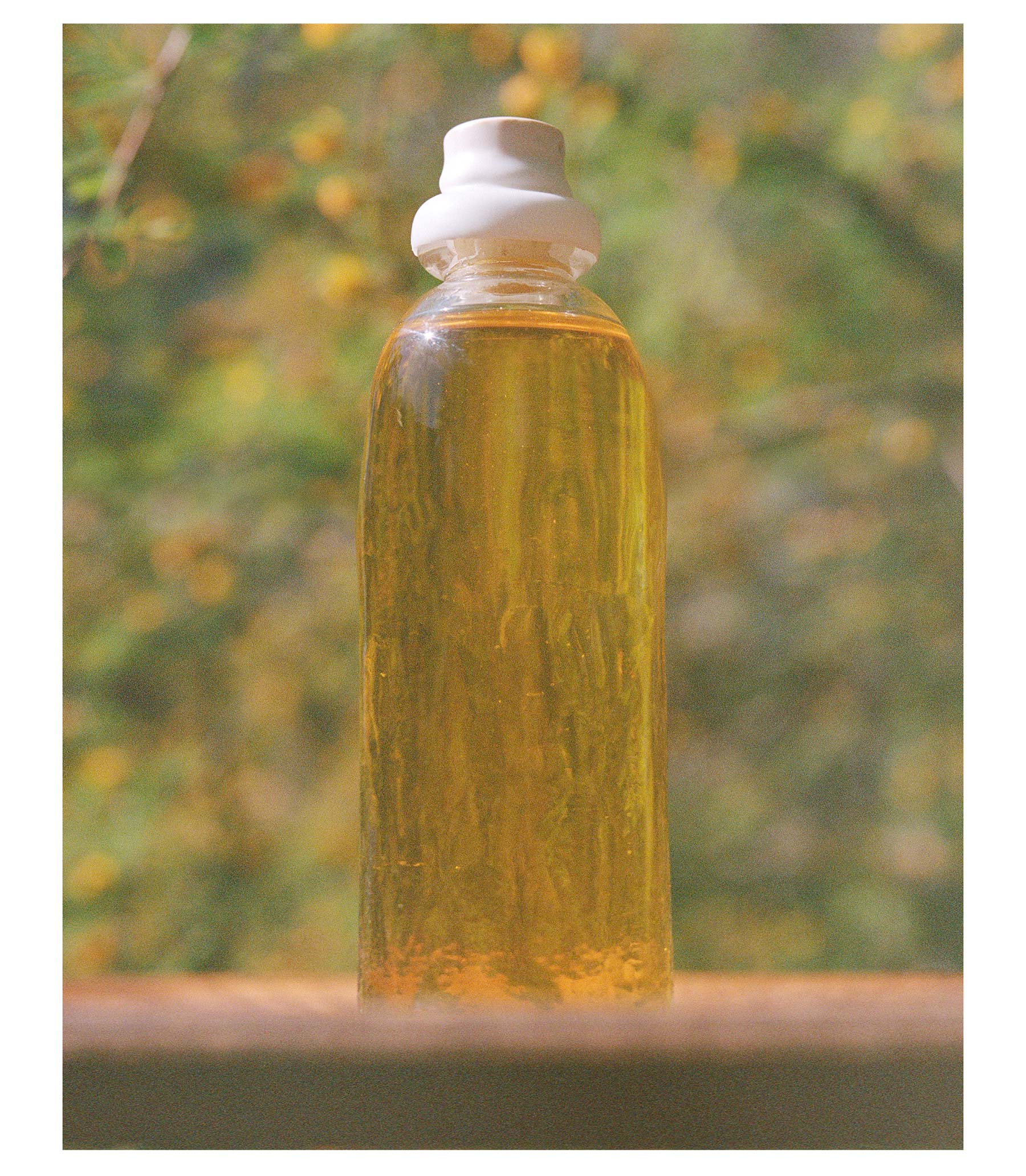 Agua de Jamaica Body Oil