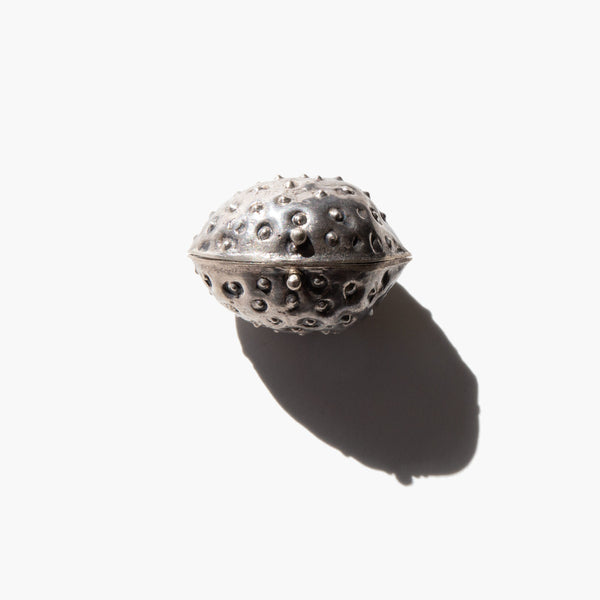 Mexican Sterling Buckeye Nut