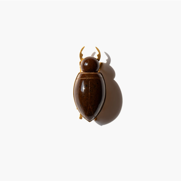 The Sun Beetle