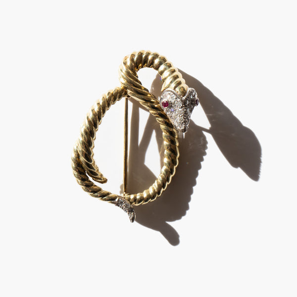 Serpentina Brooch