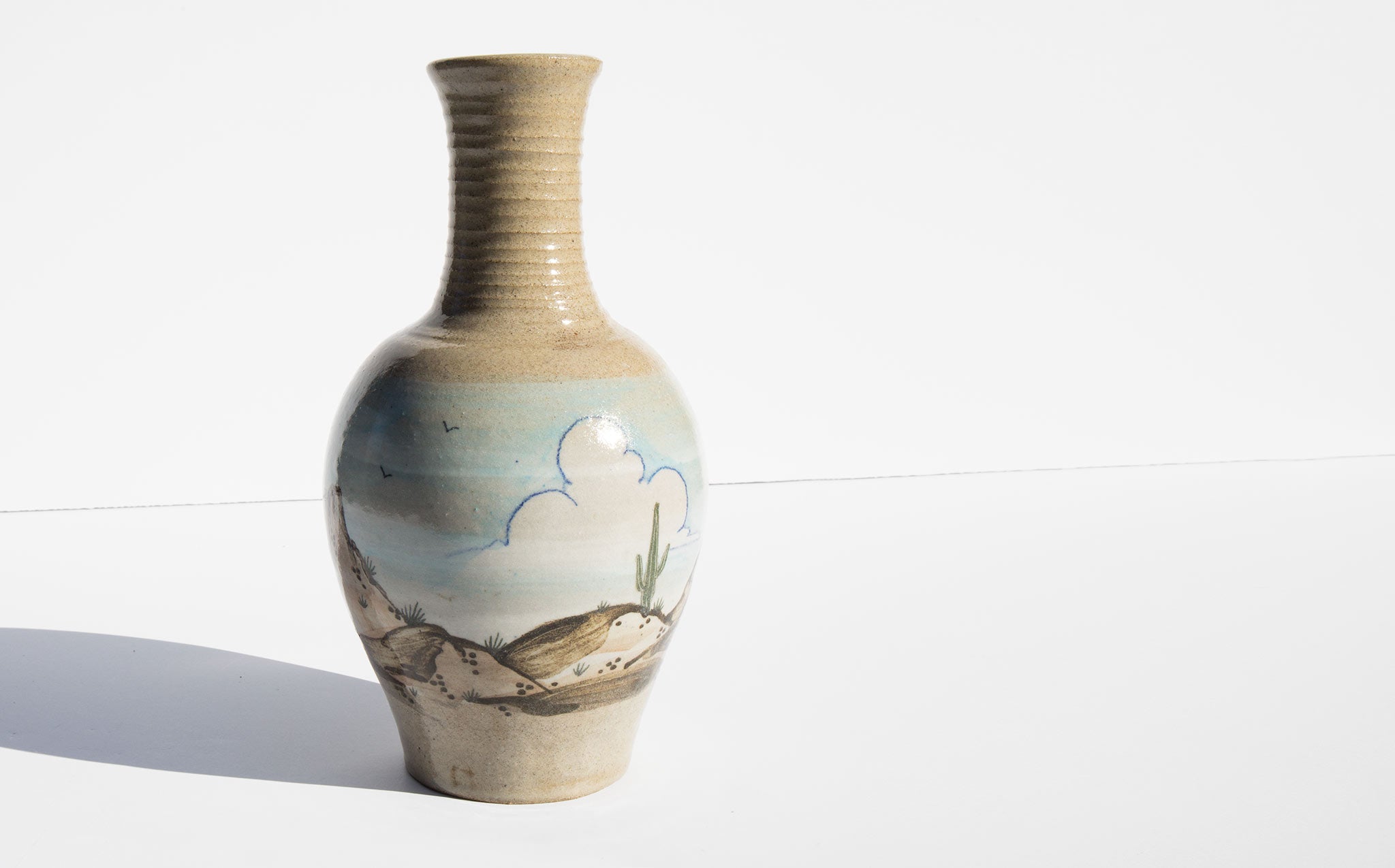 The Sonoran Vase