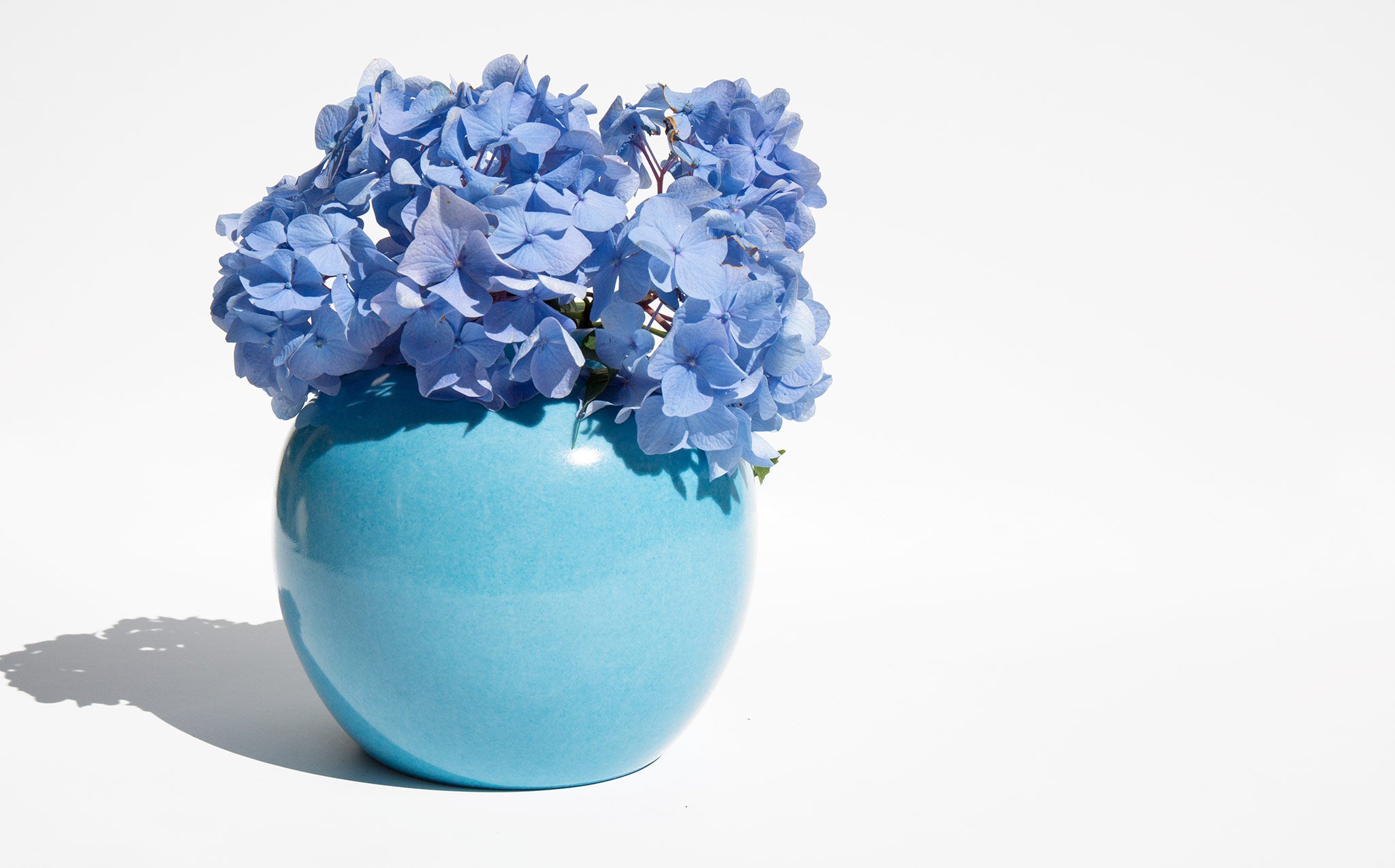 Hand Decorated Cornflower Blue Vase