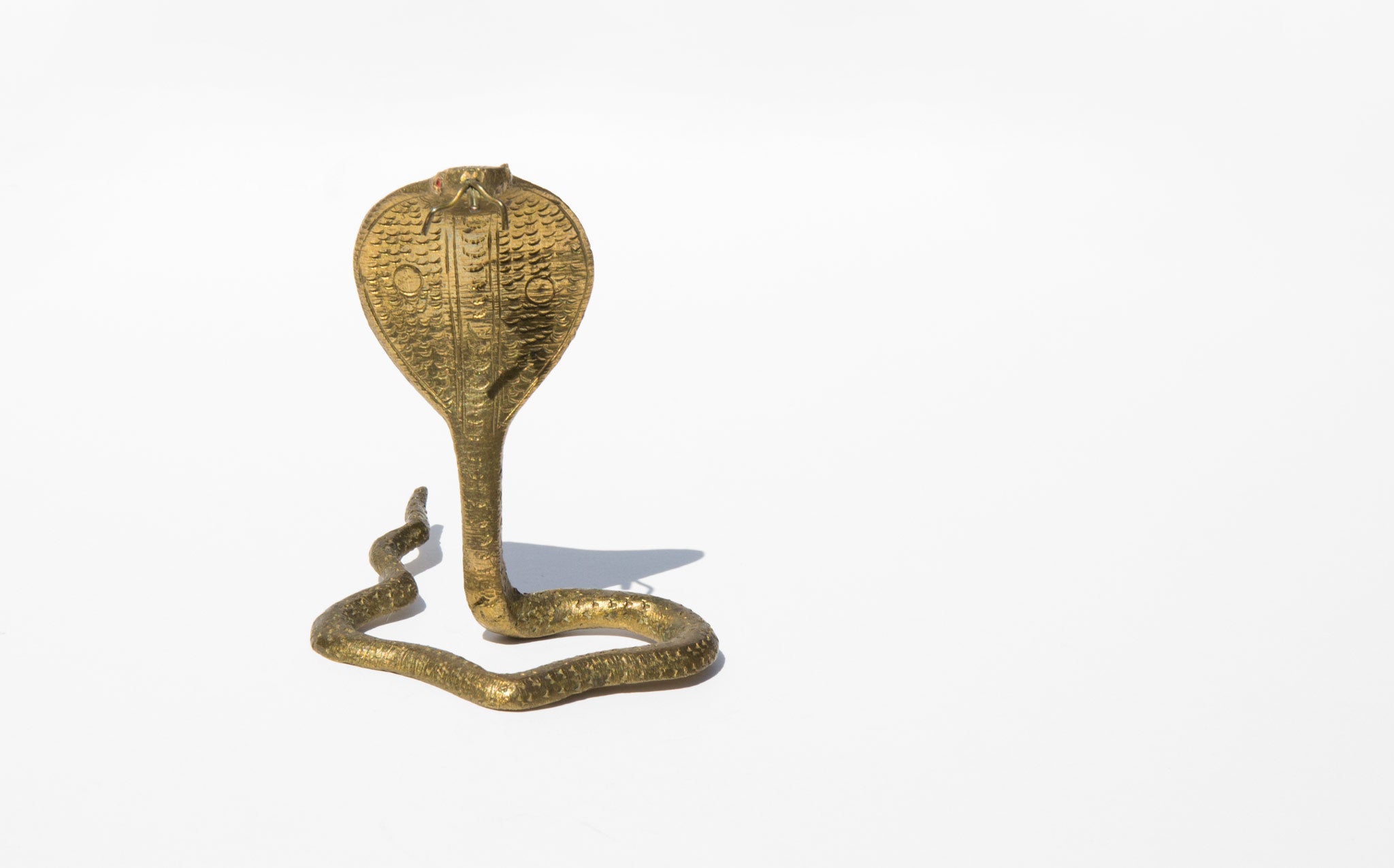 Etched Brass Cobra