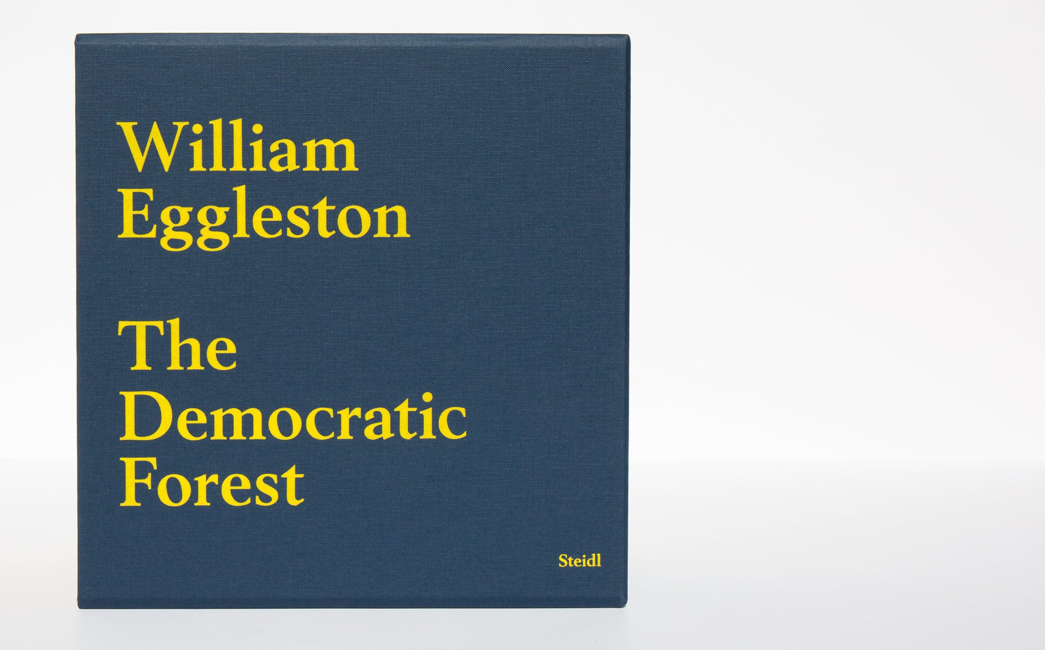 The Democratic Forest - William Eggleston